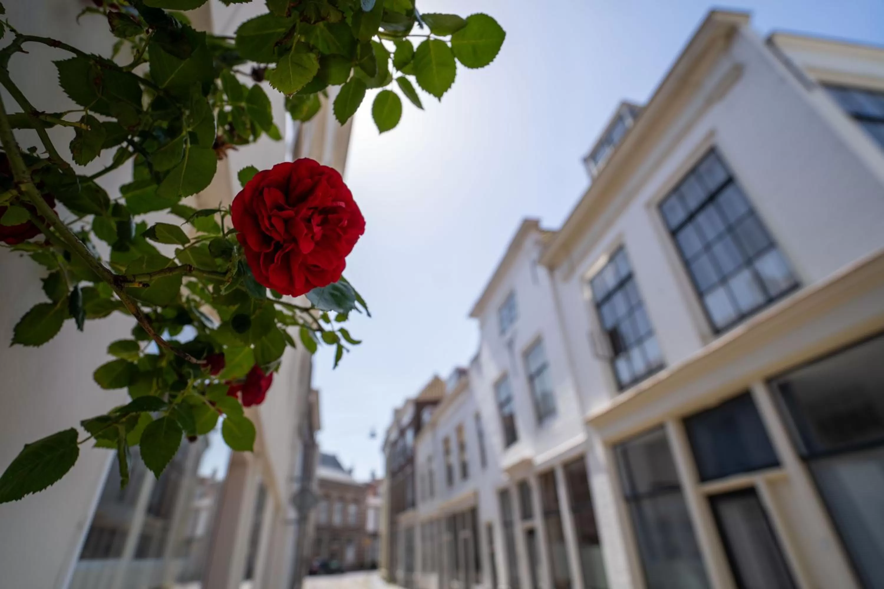 Neighbourhood in Hotel St Joris I Kloeg Collection