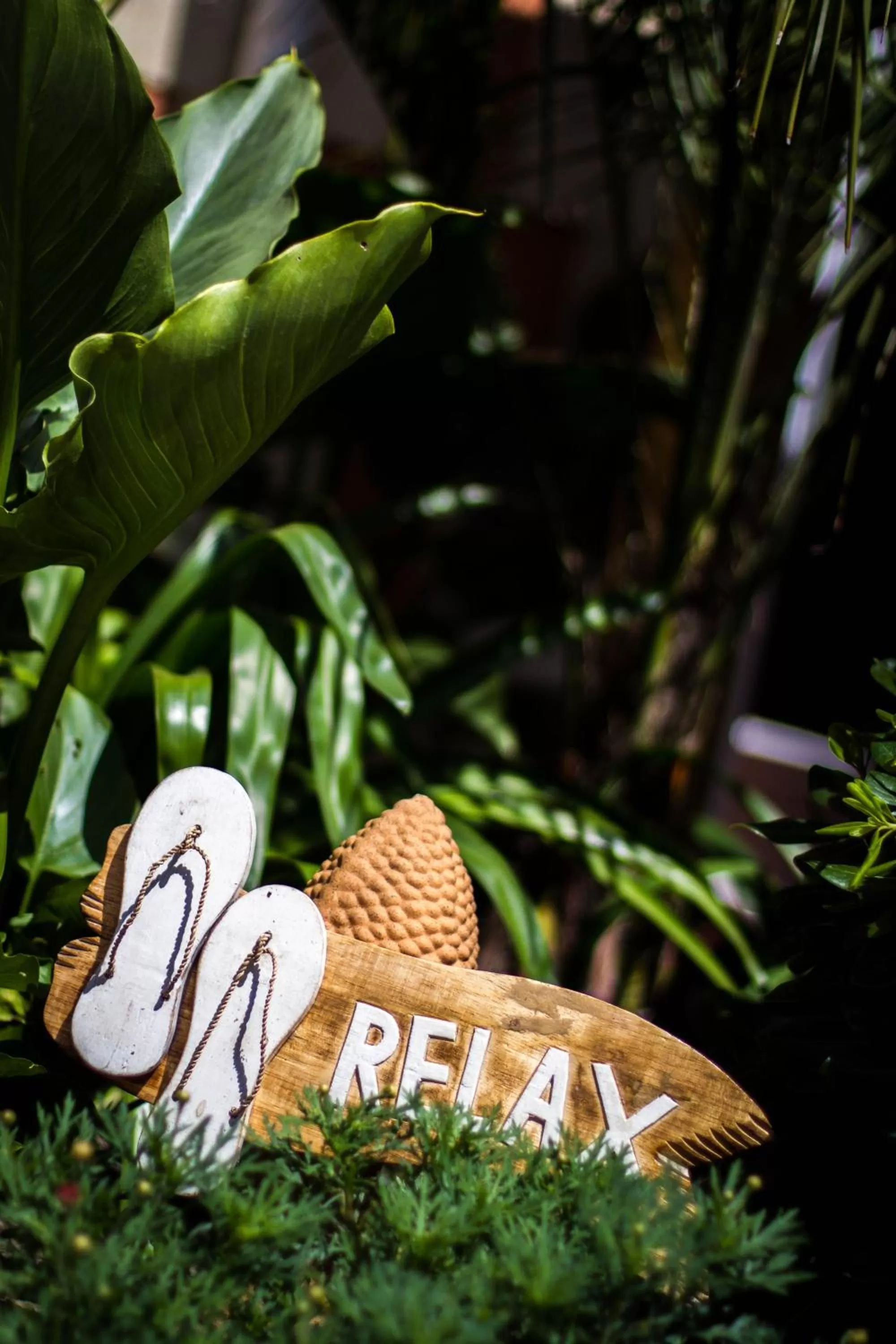 Garden, Property Logo/Sign in VILLA ZENITH Hostel - LA MAISON