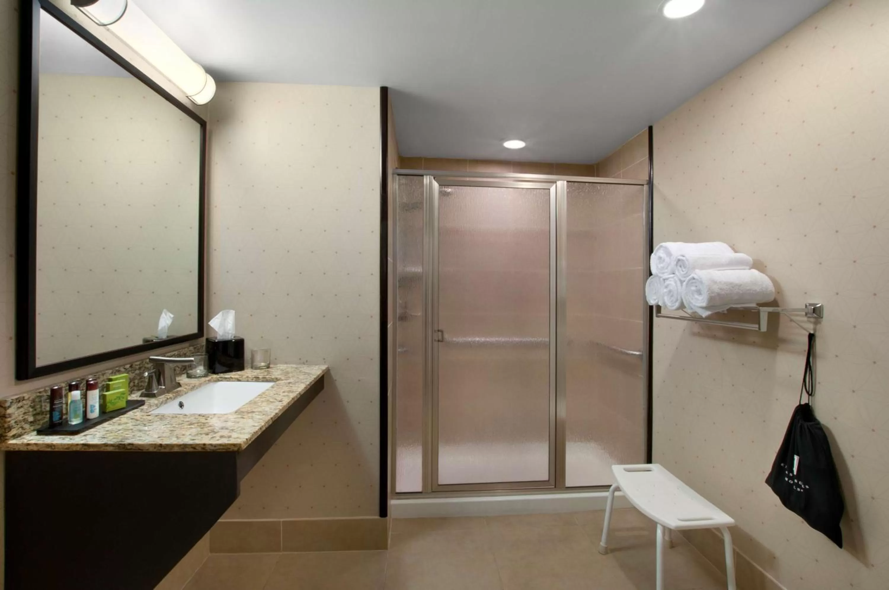 Bathroom in Embassy Suites by Hilton Jackson North Ridgeland