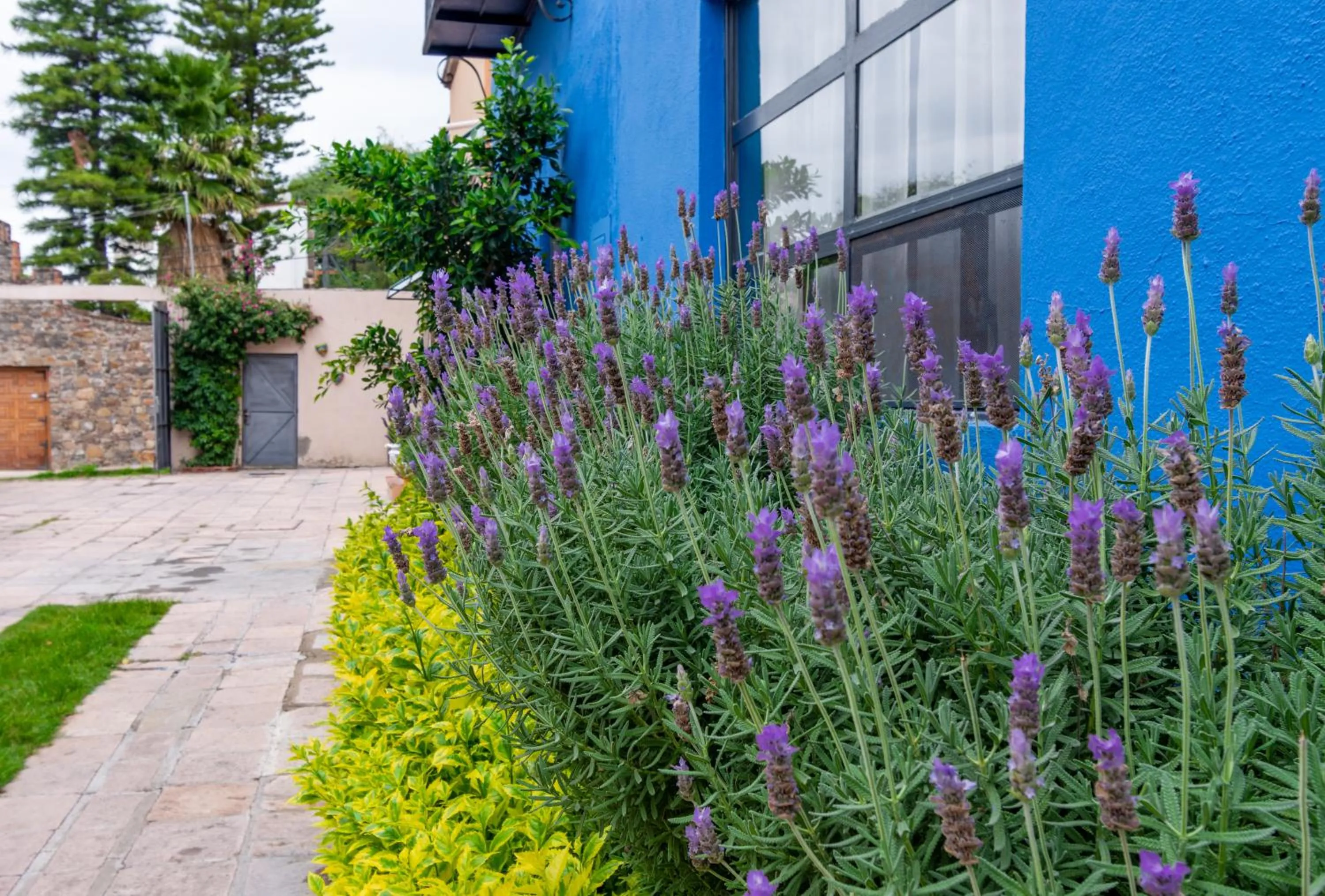 Facade/entrance in Hotel Casa Santamaría