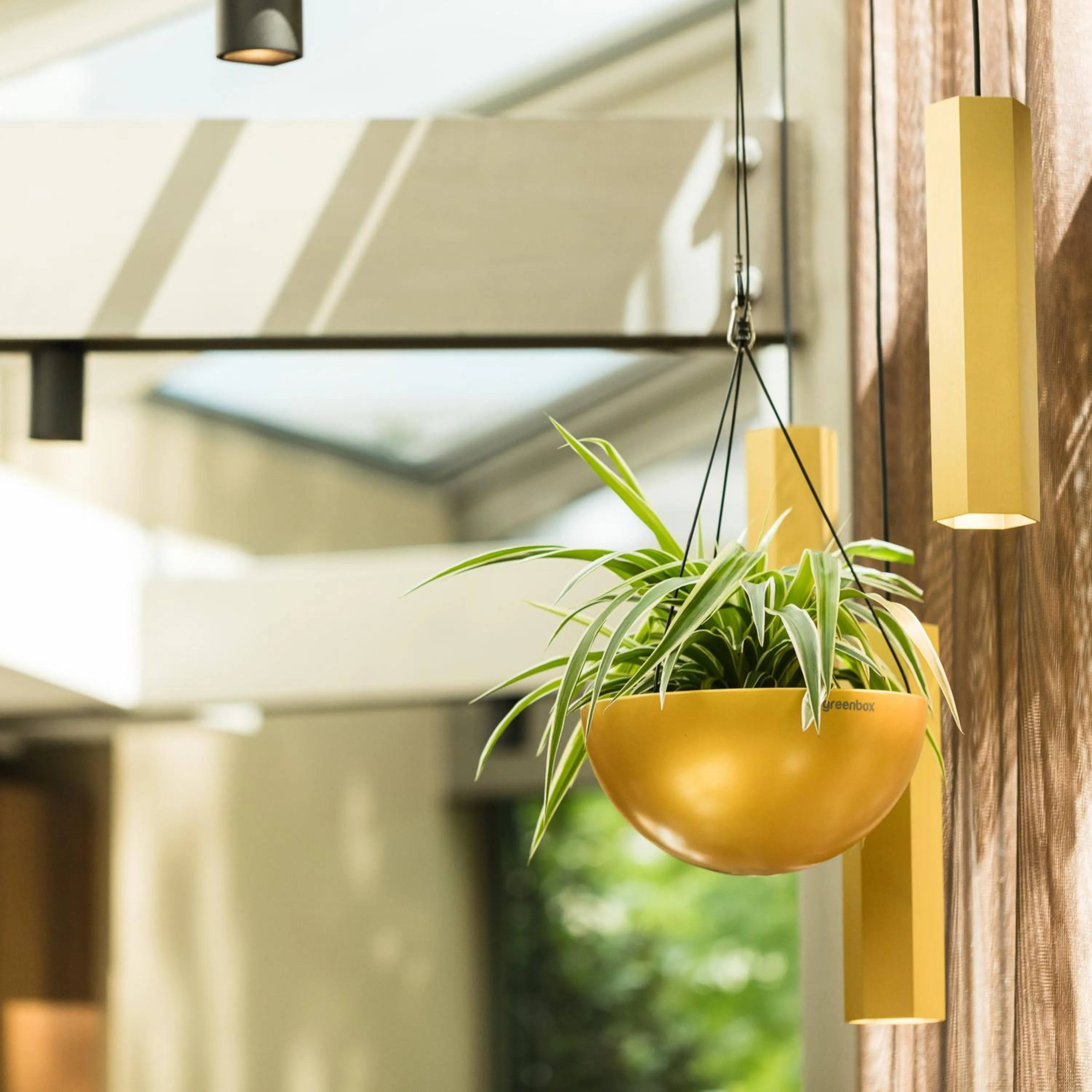 Decorative detail in Engimatt City & Garden Hotel