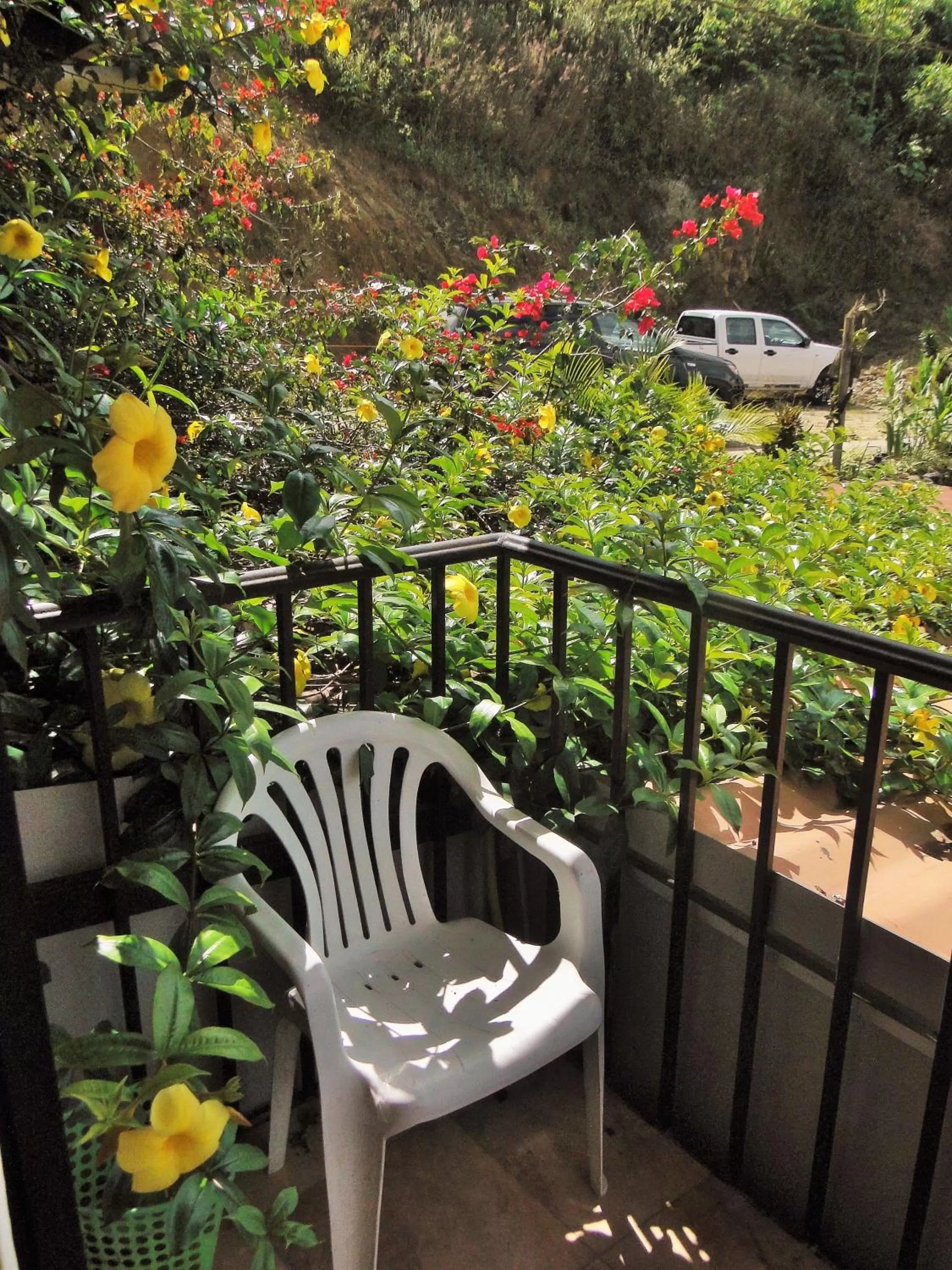 Balcony/Terrace in Hosteria Florecer