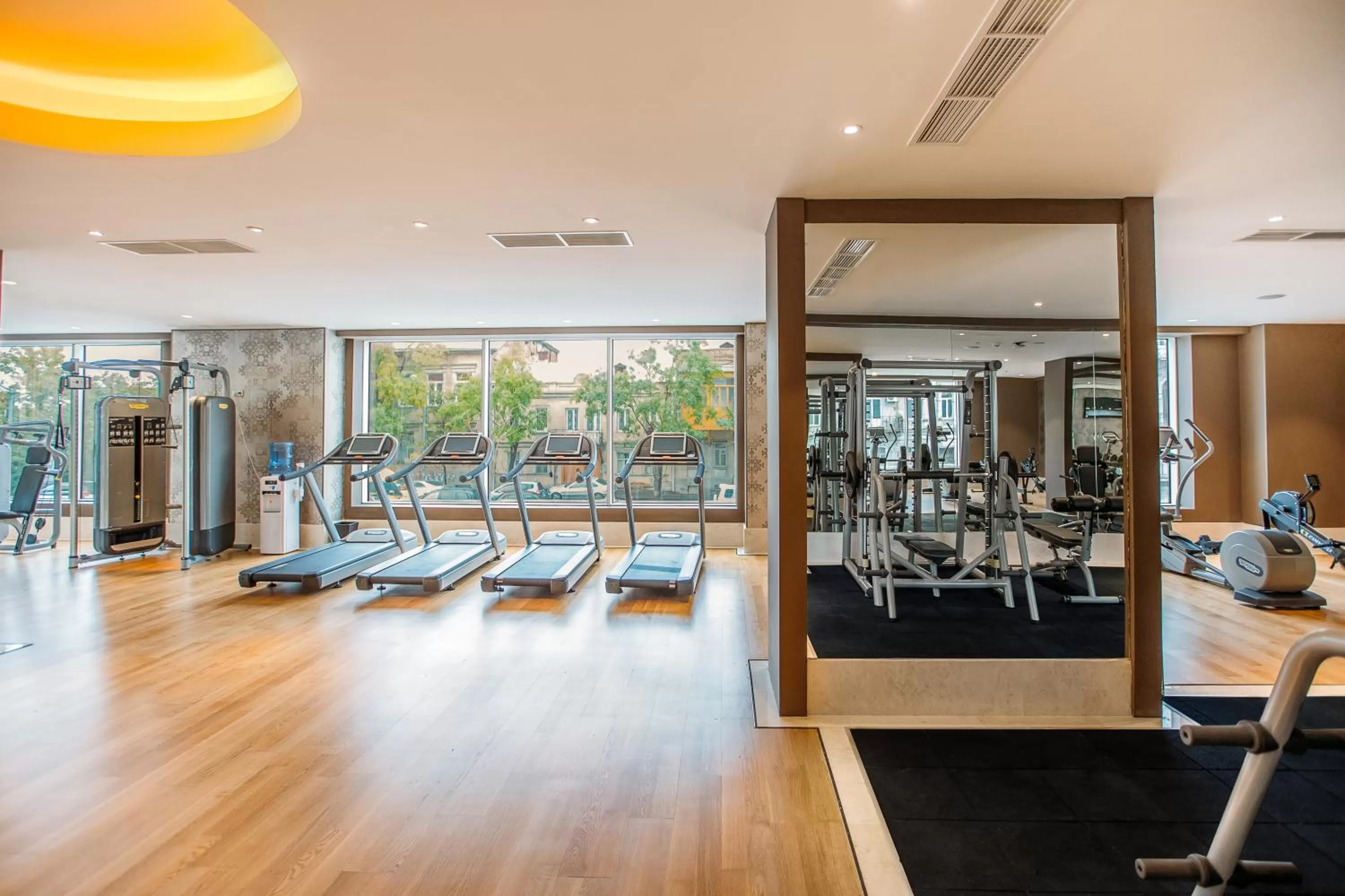 Fitness centre/facilities in The Biltmore Tbilisi Hotel