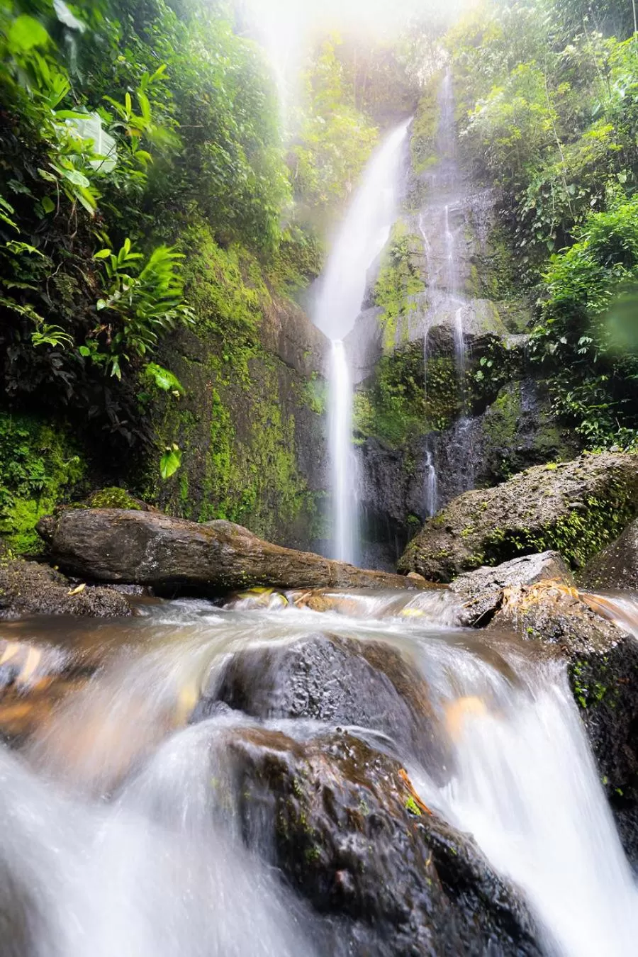 Natural landscape in MuchoSur Quimbaya
