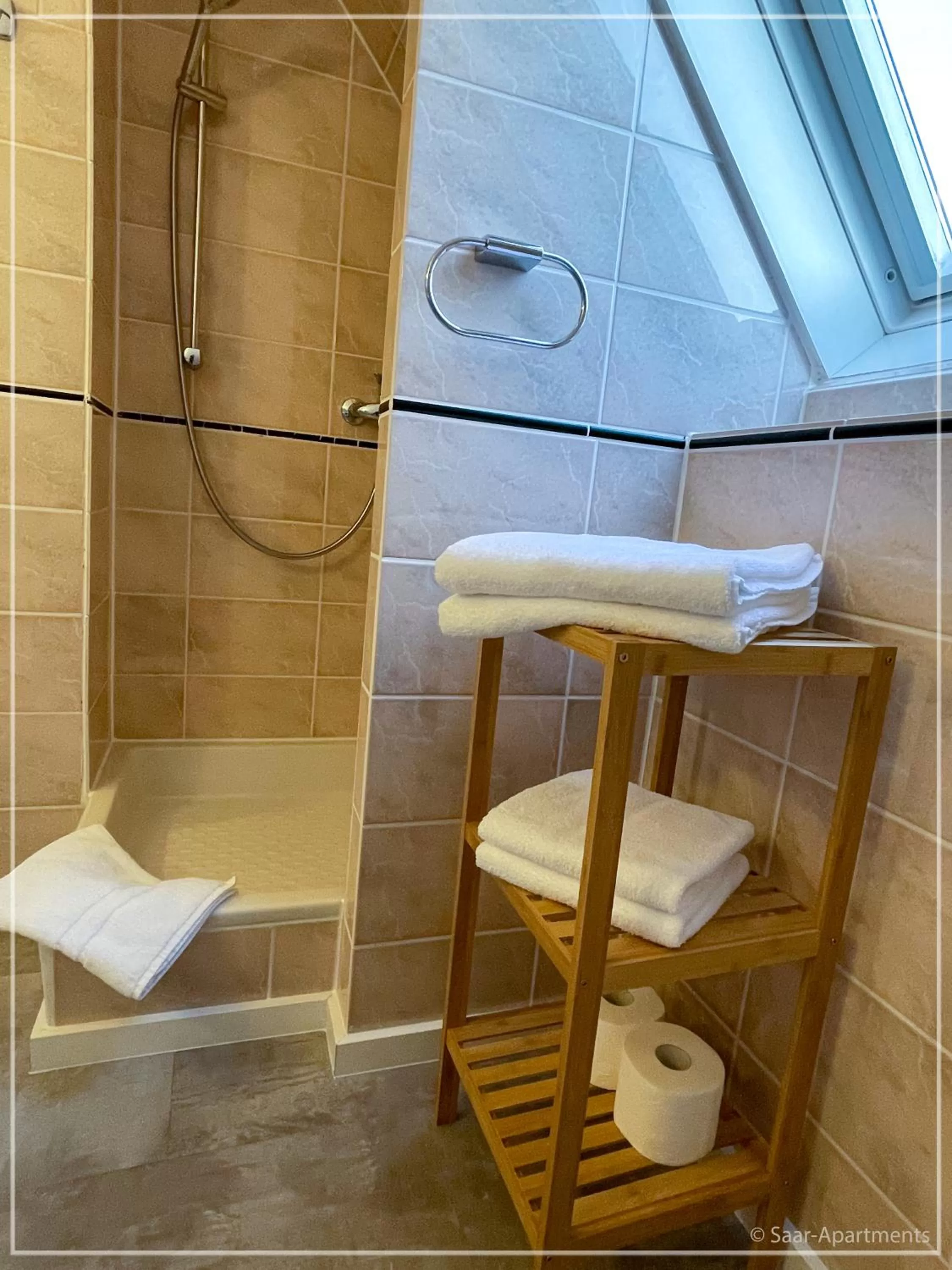 Shower in Saar-Apartments