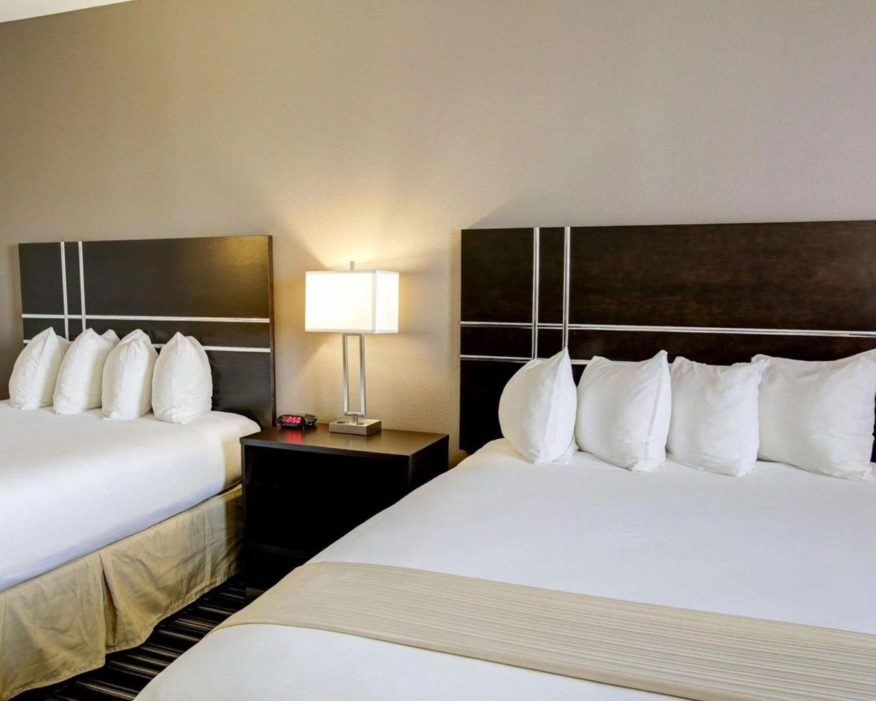 Photo of the whole room, Bed in Quality Inn & Suites Bryan-College Station