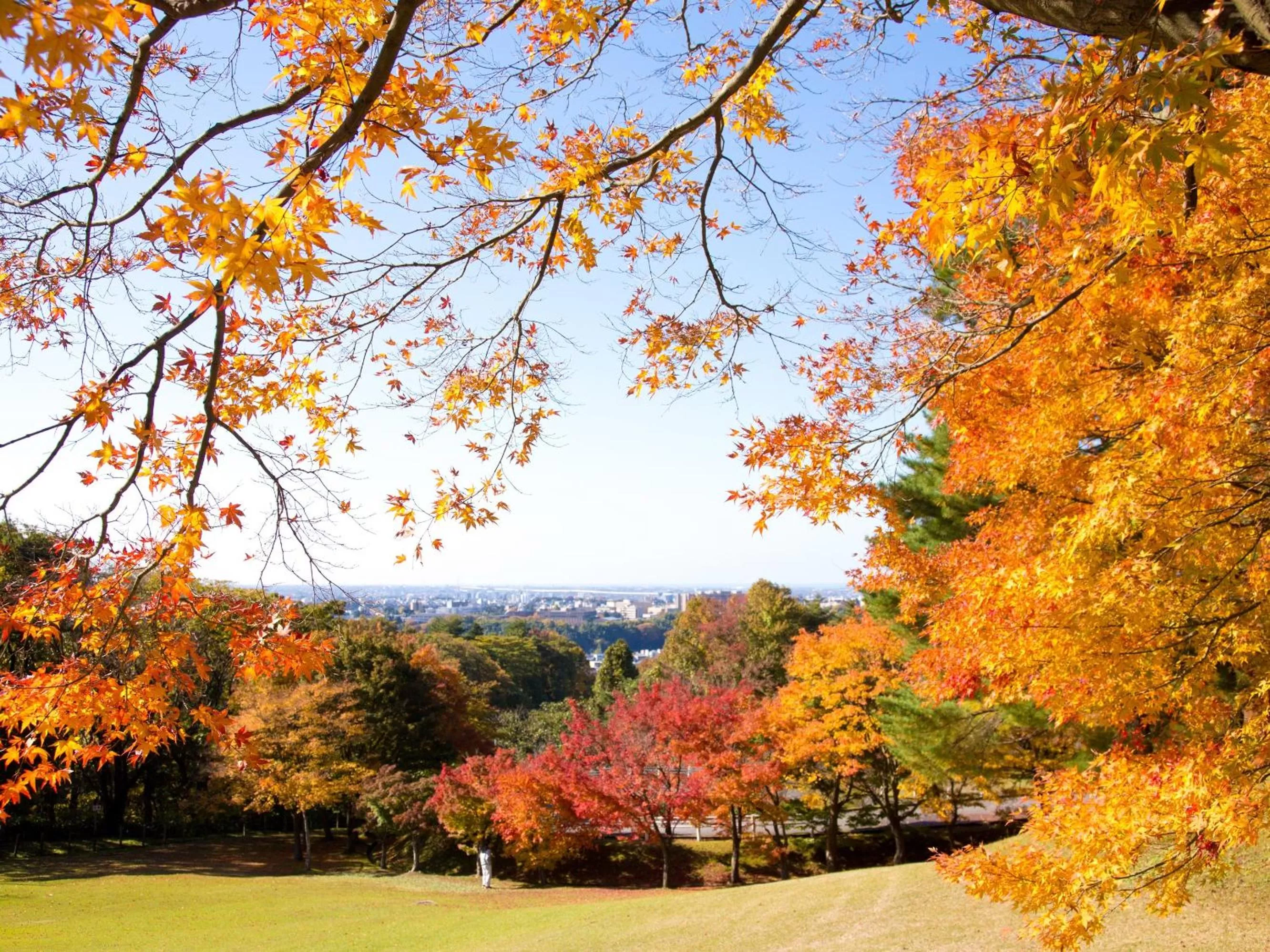 Nearby landmark in Hotel Wing International Premium Kanazawa Ekimae