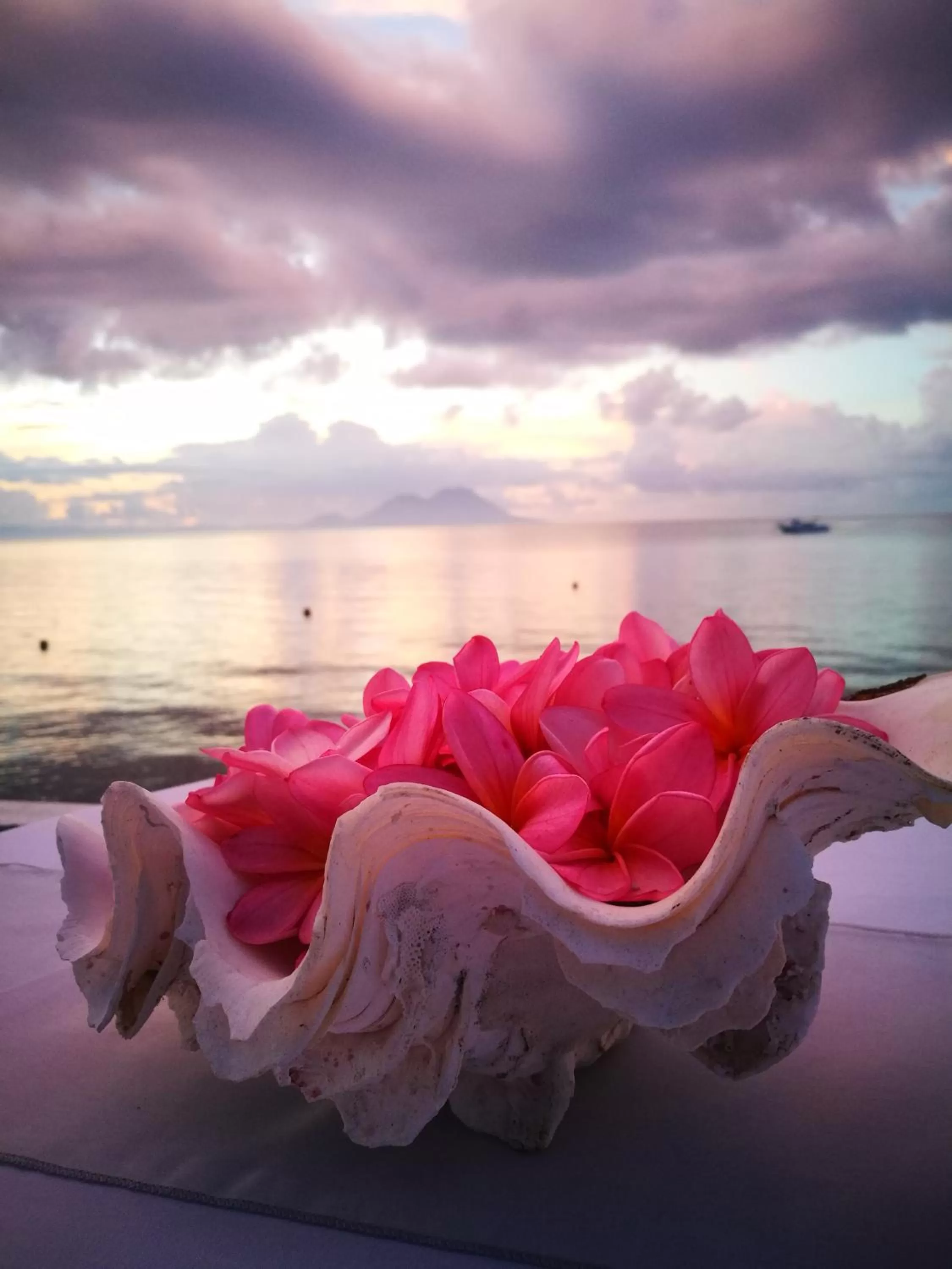 Rapopo Plantation Resort