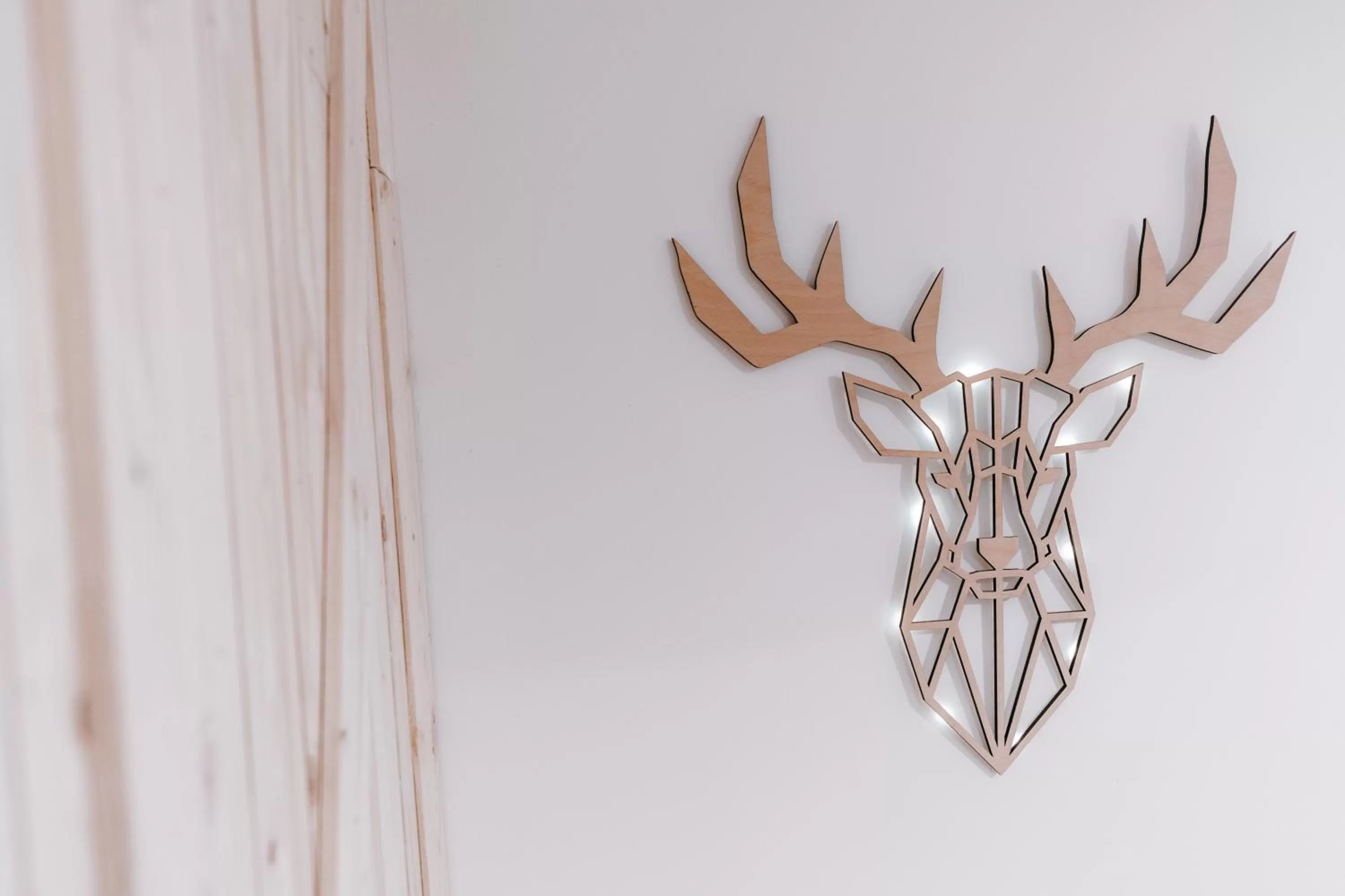 Decorative detail in Black Forest Dream Apartments