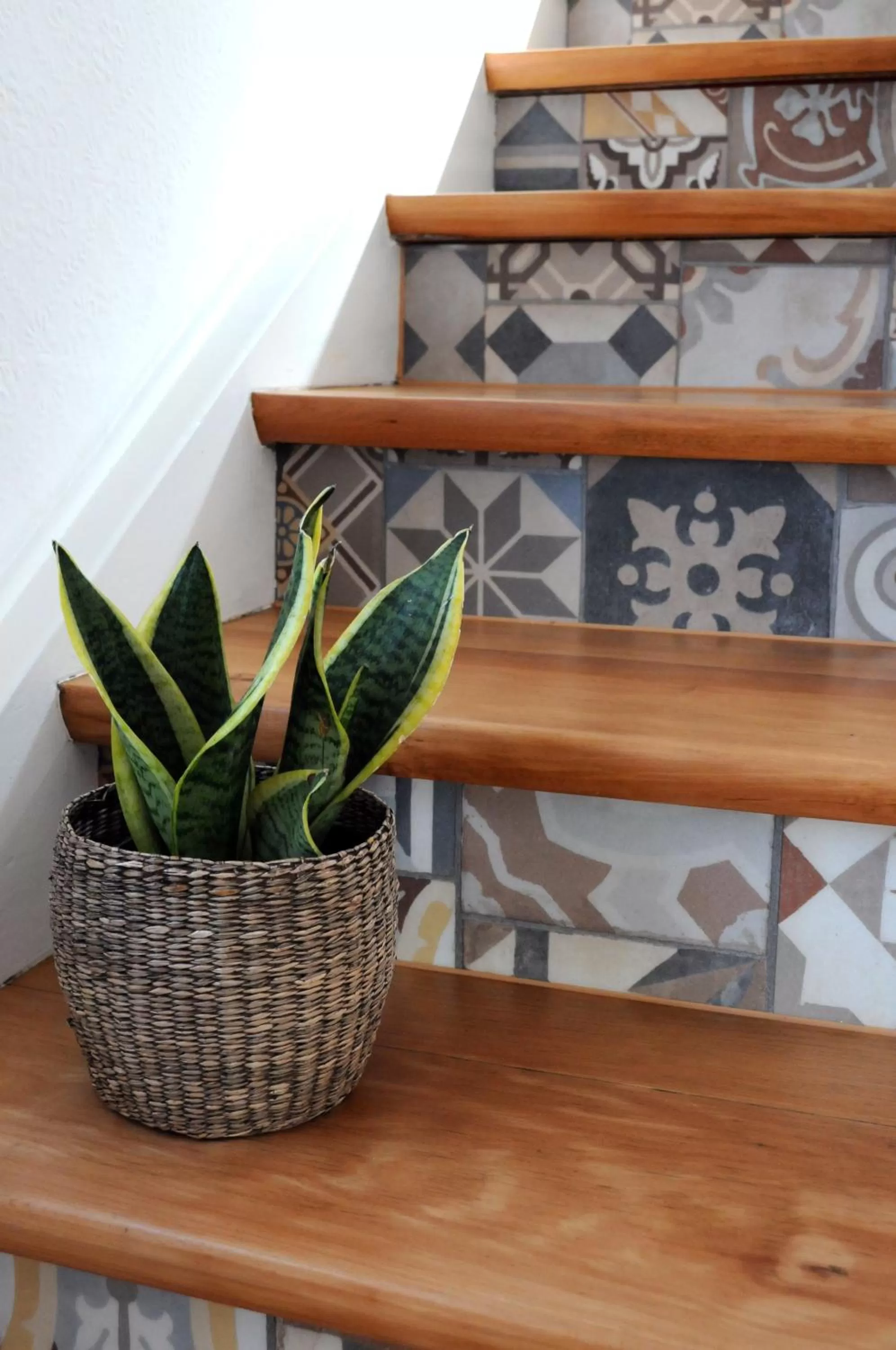 Area and facilities in Hacienda Rooms