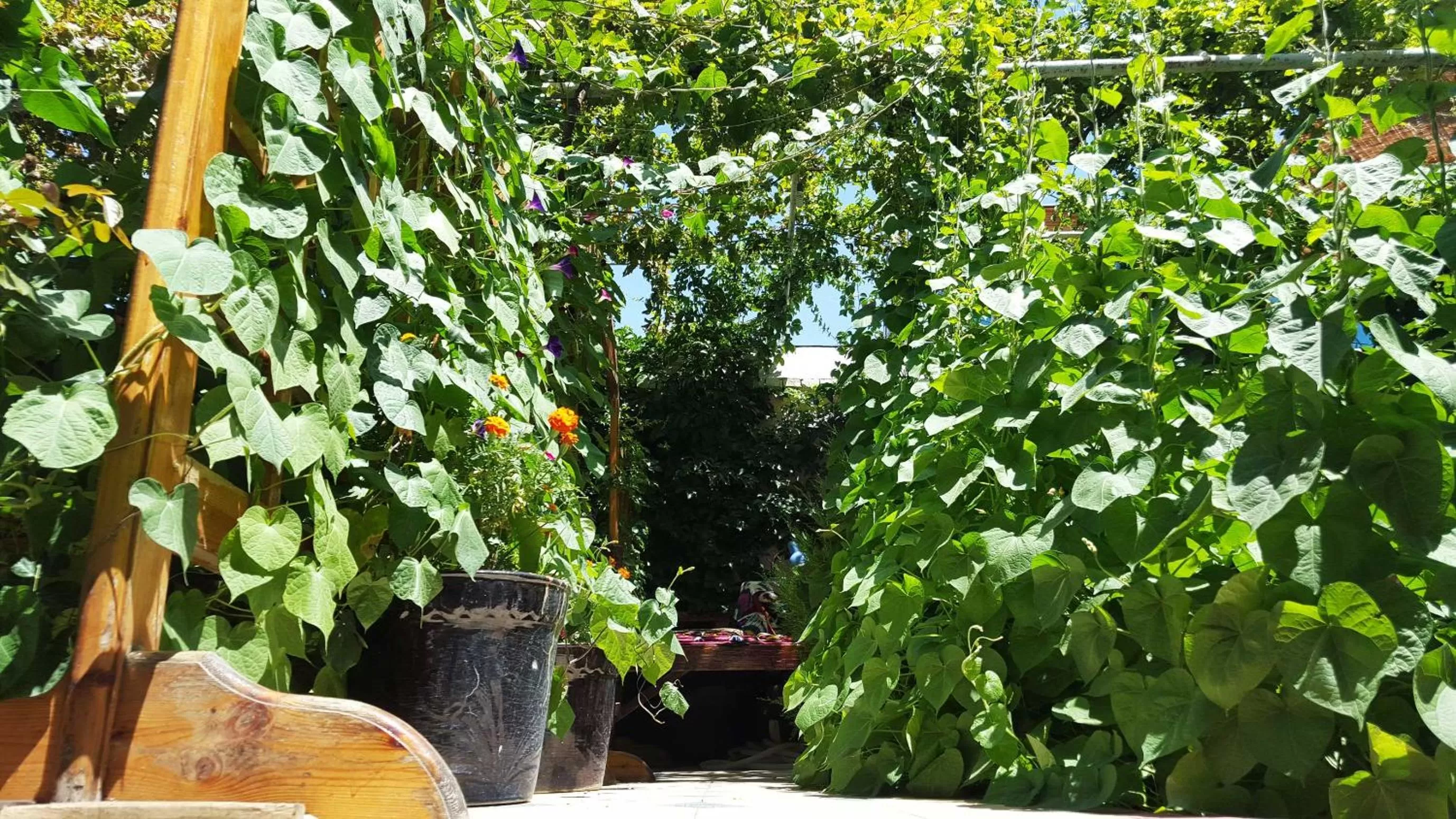 Inner courtyard view in Jahongir