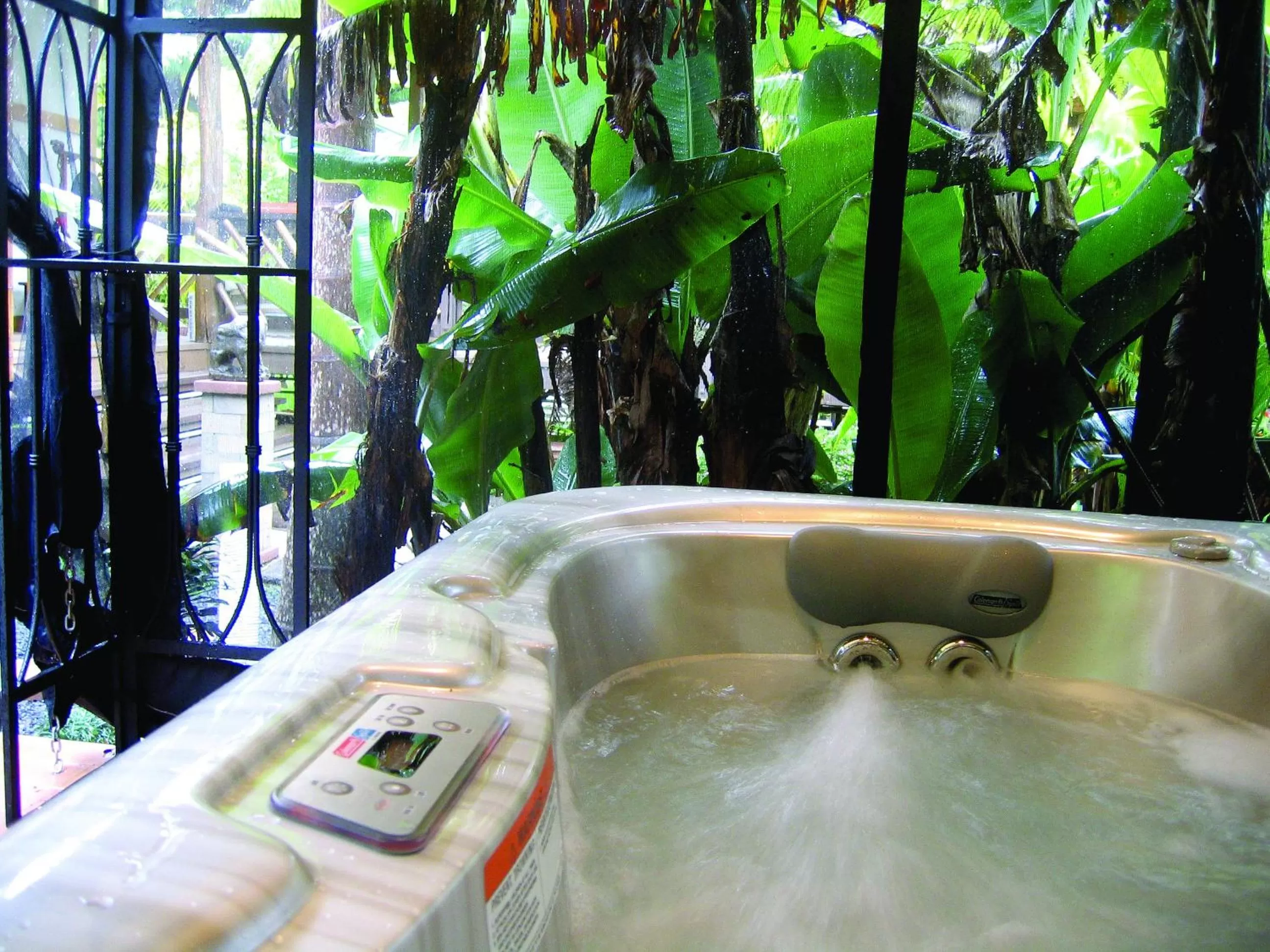 Garden in Lotus Garden Cottages