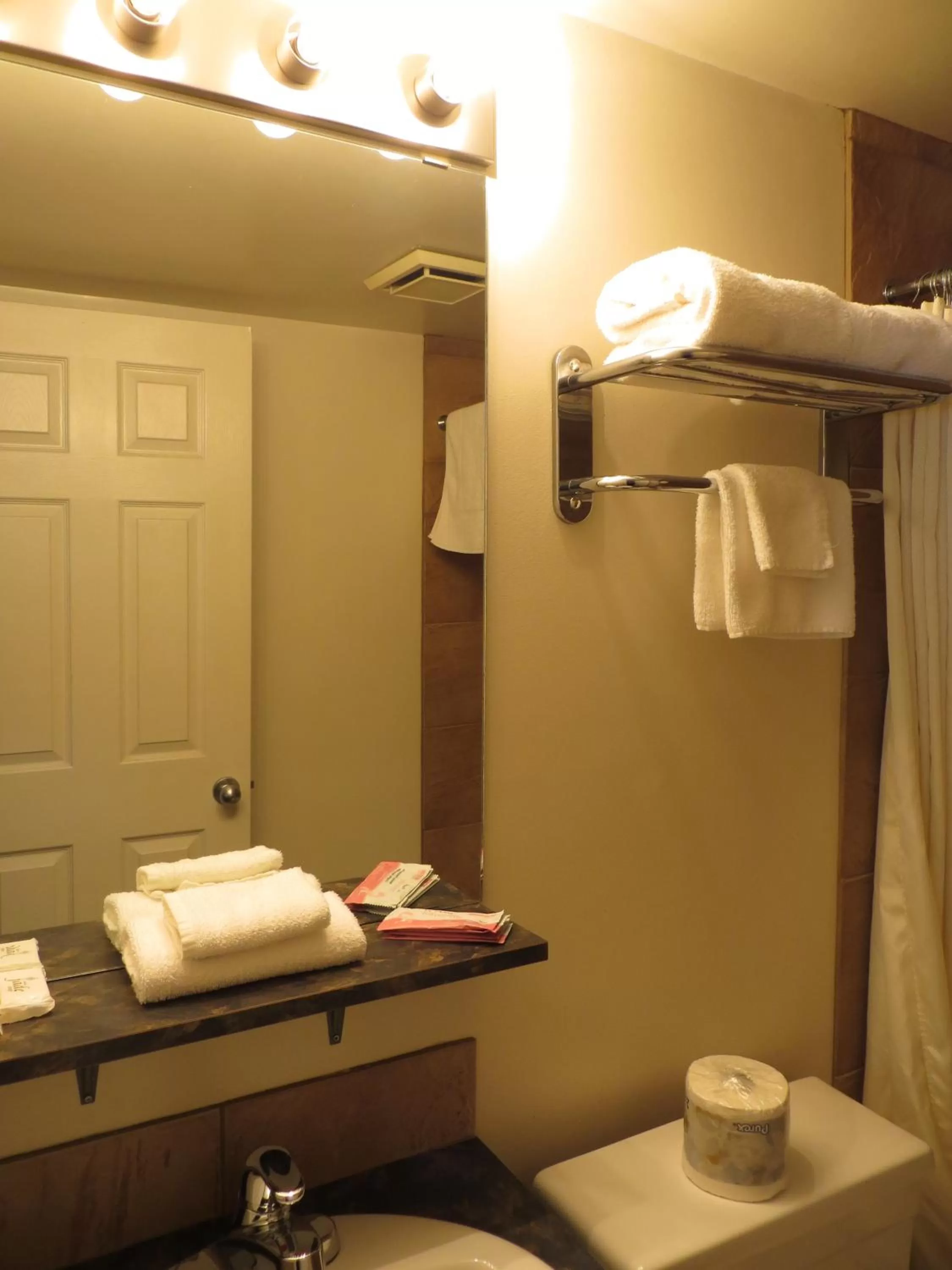 Decorative detail, Bathroom in Eastglen Inn