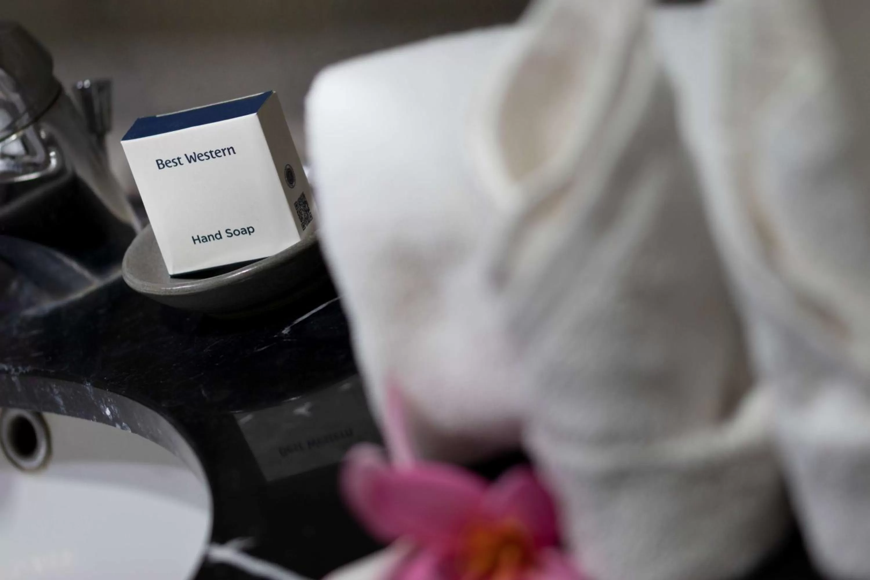 Other in Best Western The Lagoon Hotel