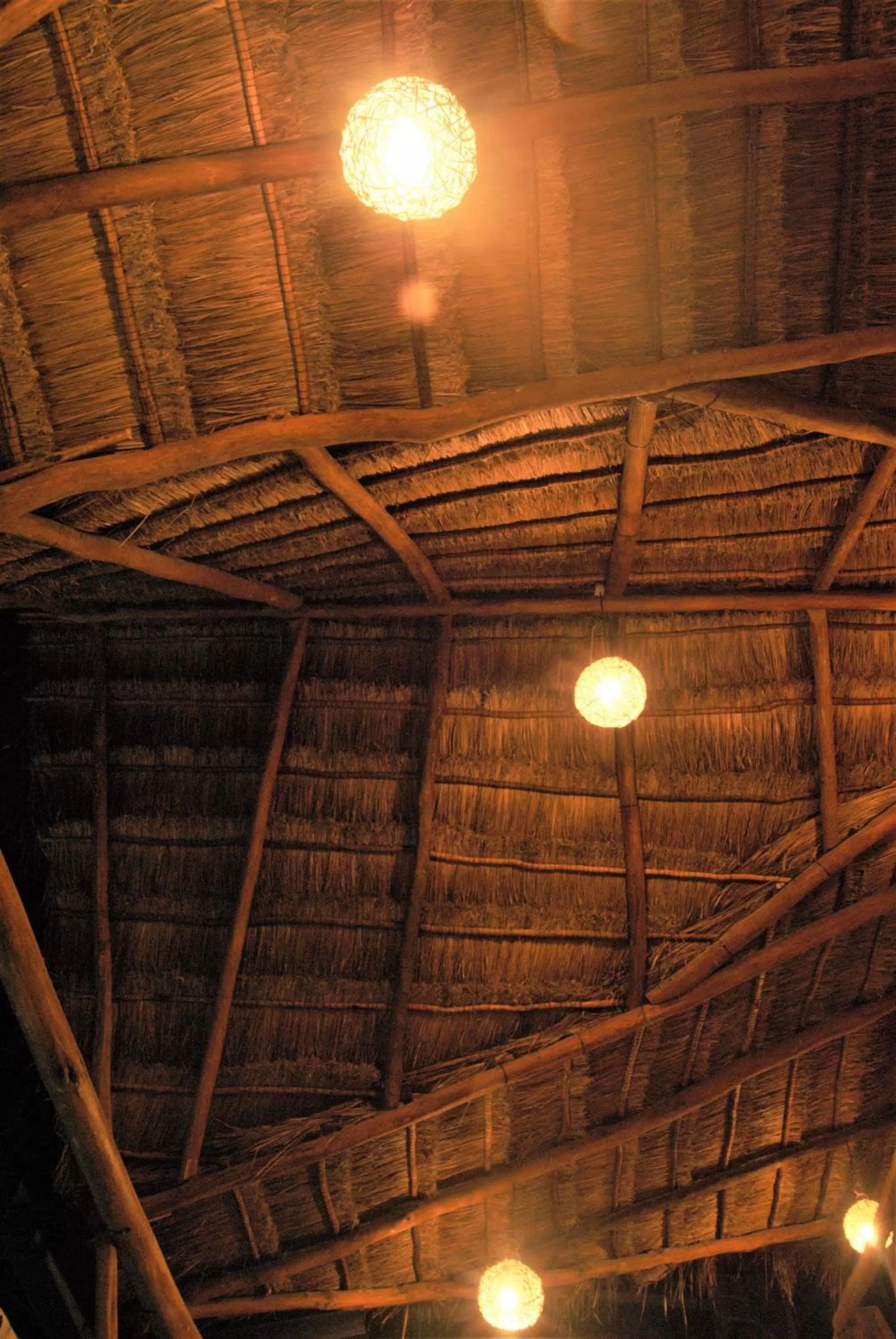 Area and facilities in Hotel Boutique TerraNova