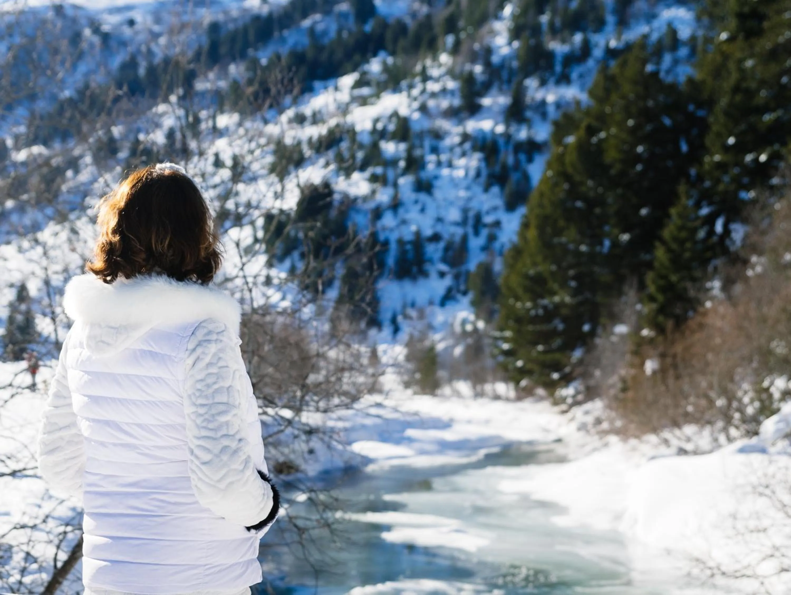 Other in Hôtel Alpen Ruitor