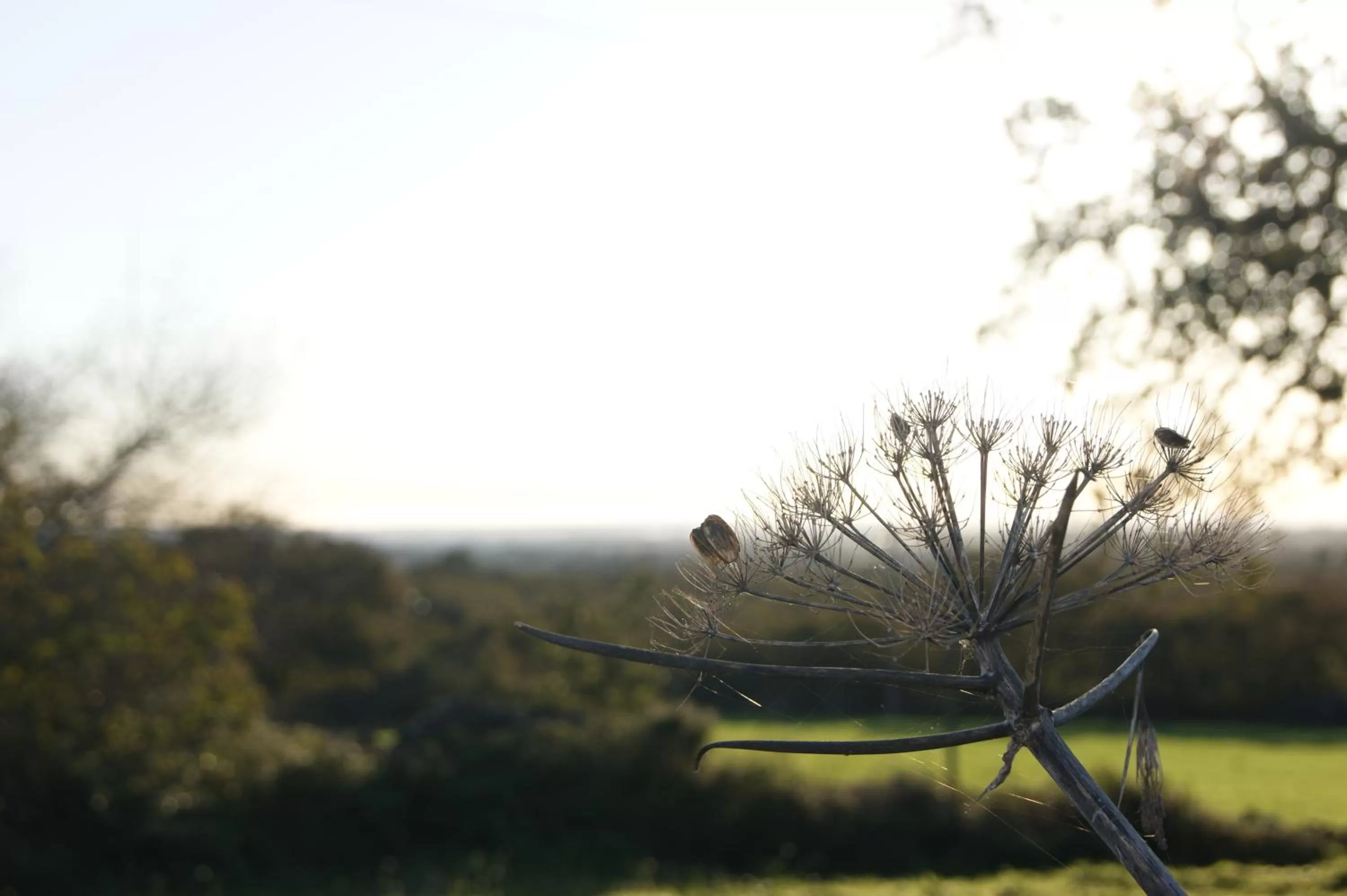 Natural landscape in Arome B&B