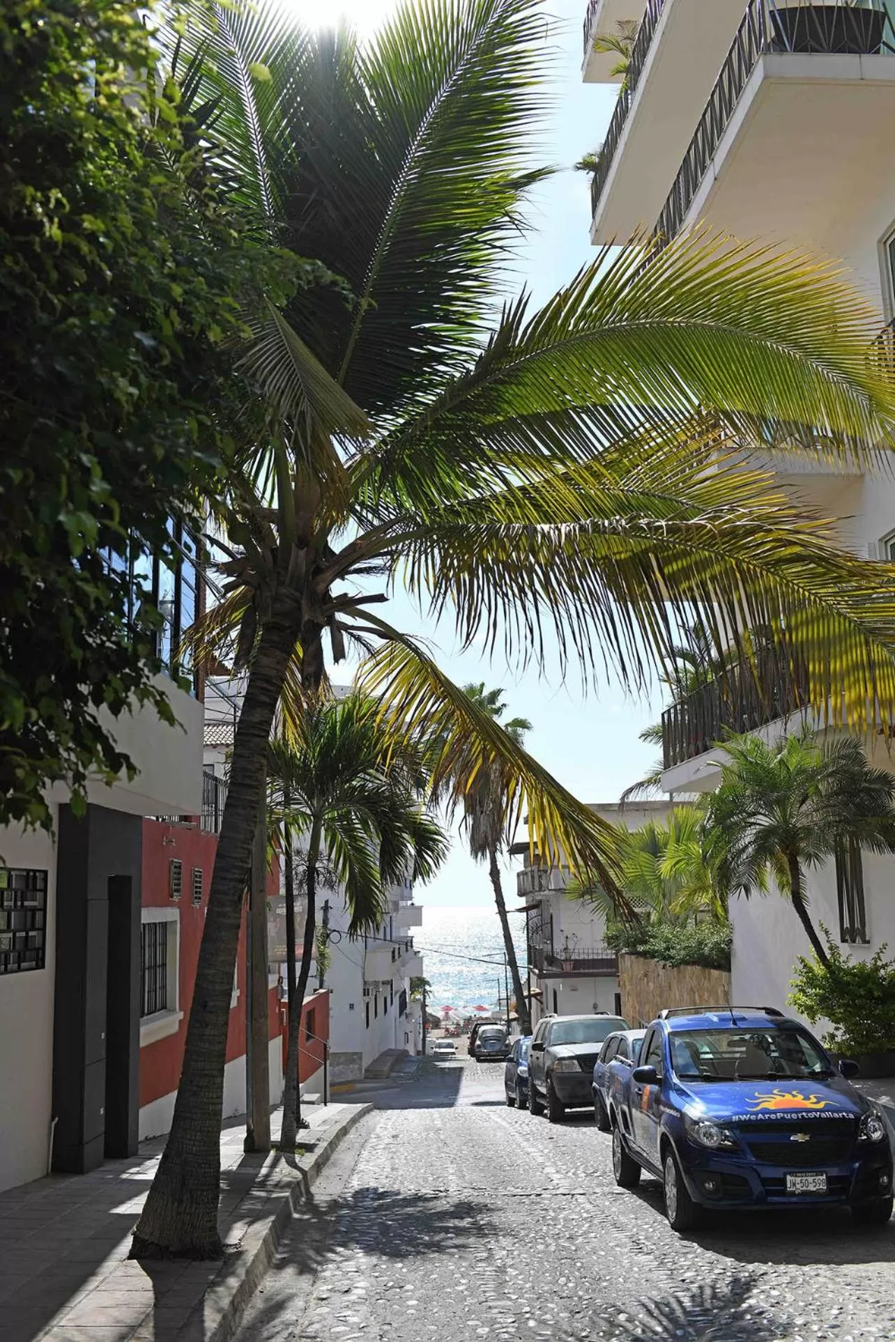 Spring in Petit Hotel Pilitas