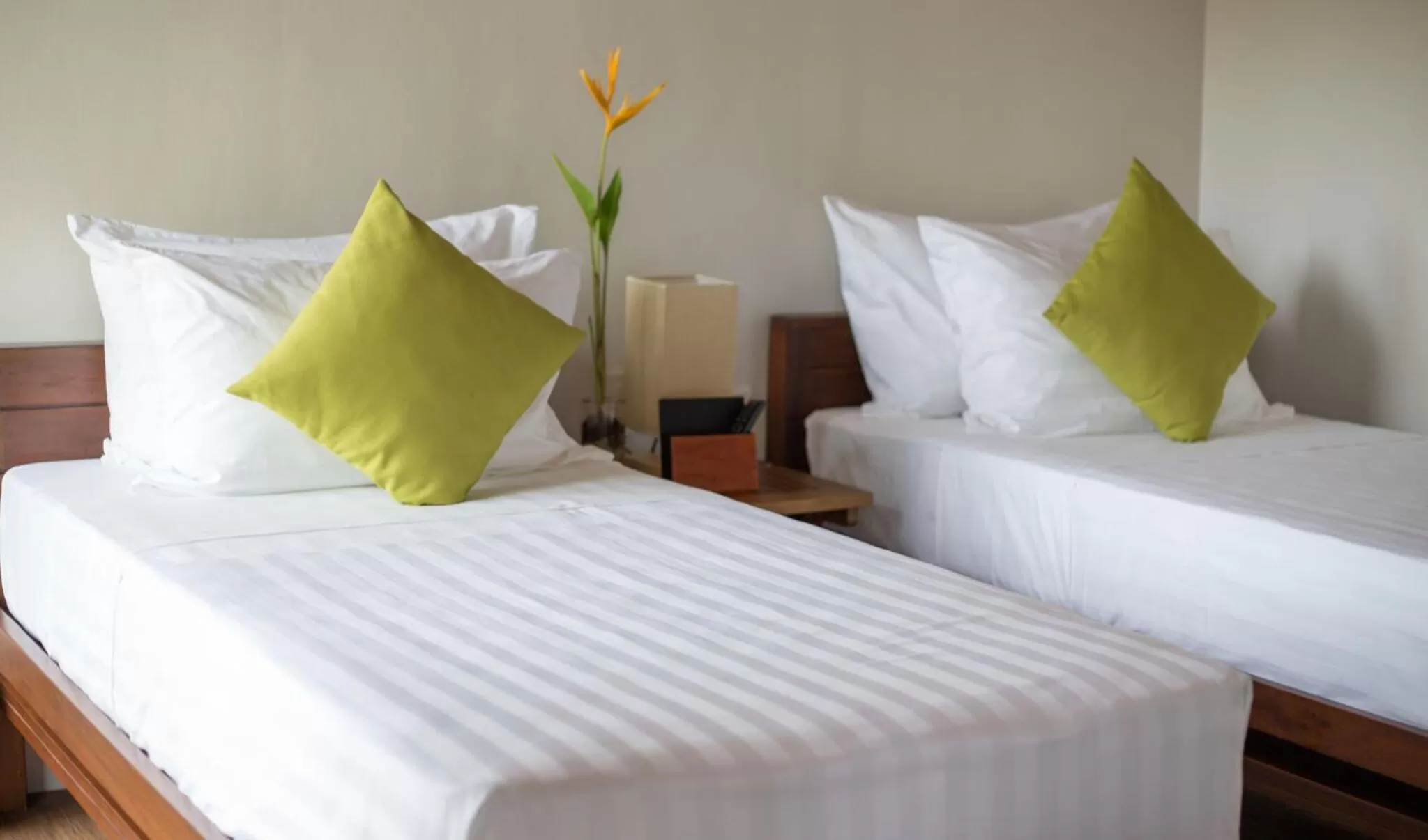 Standard Double Room in Solina Beach & Nature Resort