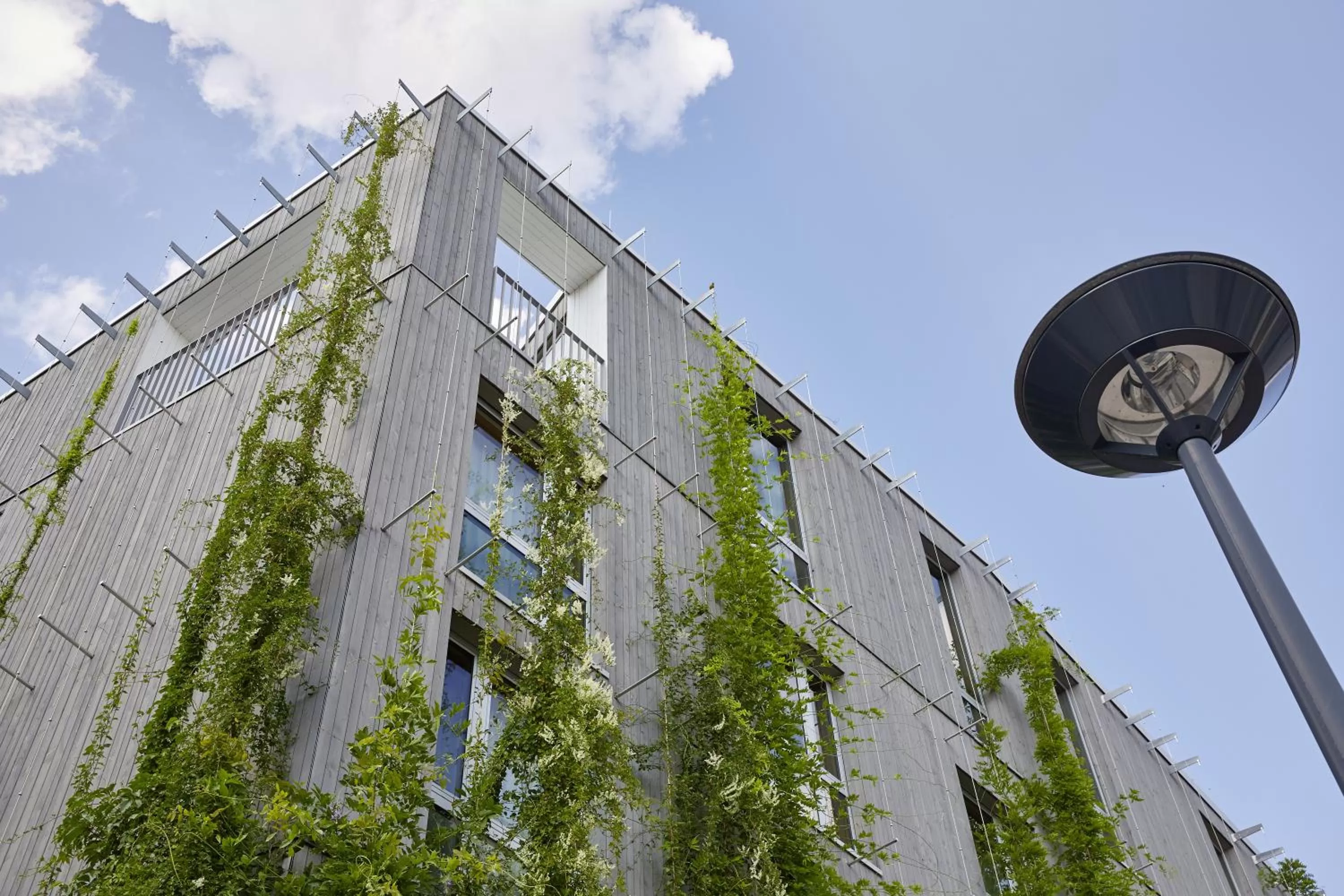 Property building in Green City Hotel Vauban