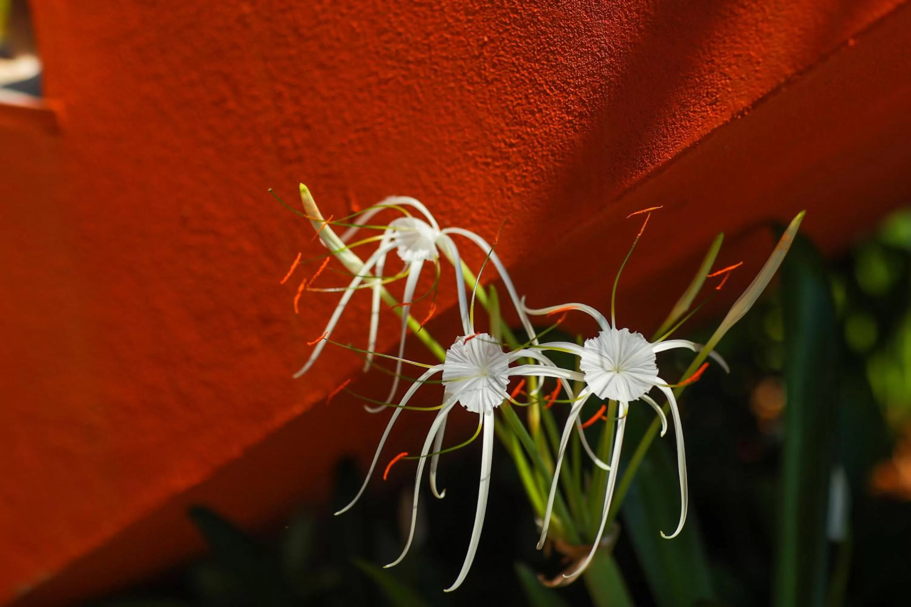 On site in The Estate Resort , Mangalore