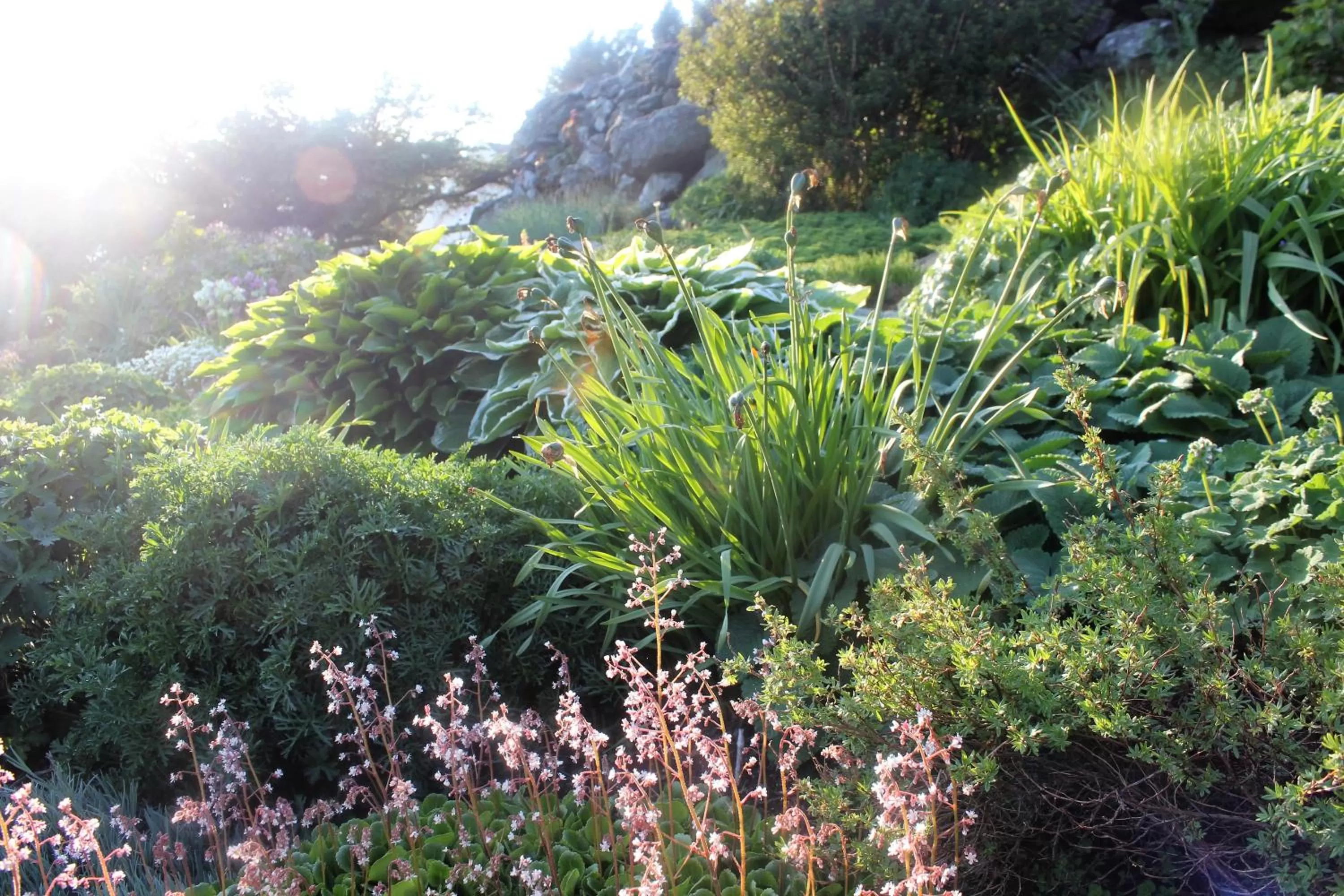 Other in Hummeren Hotel