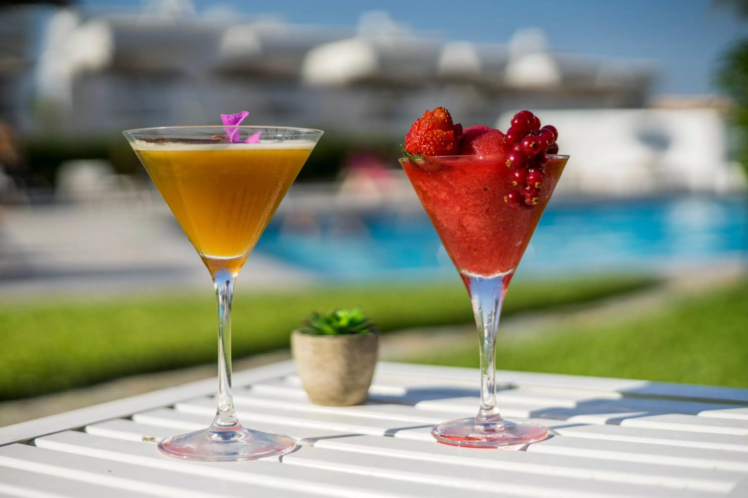 Swimming pool in Camelina Suites