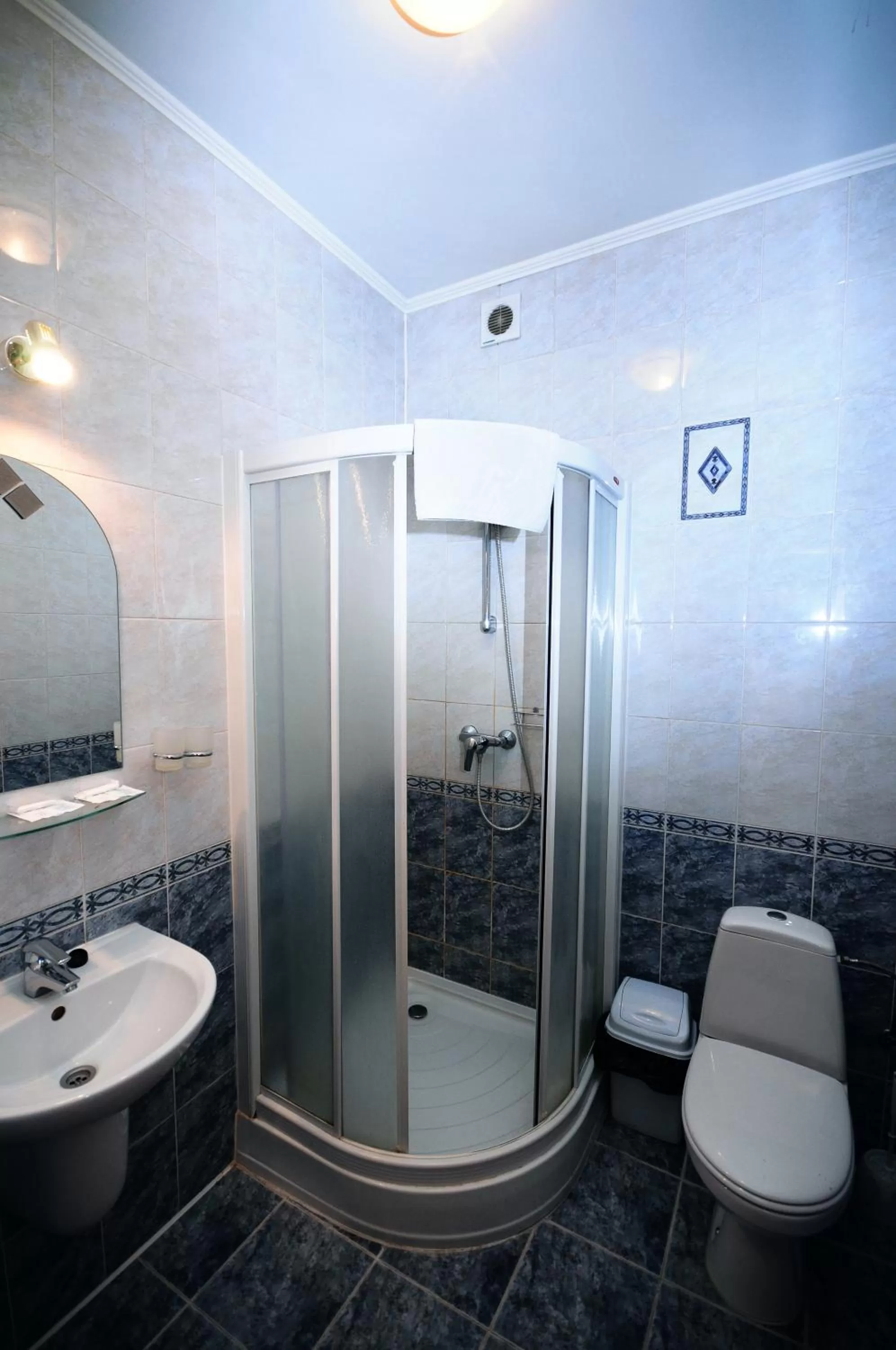 Bathroom in Chervona Gora