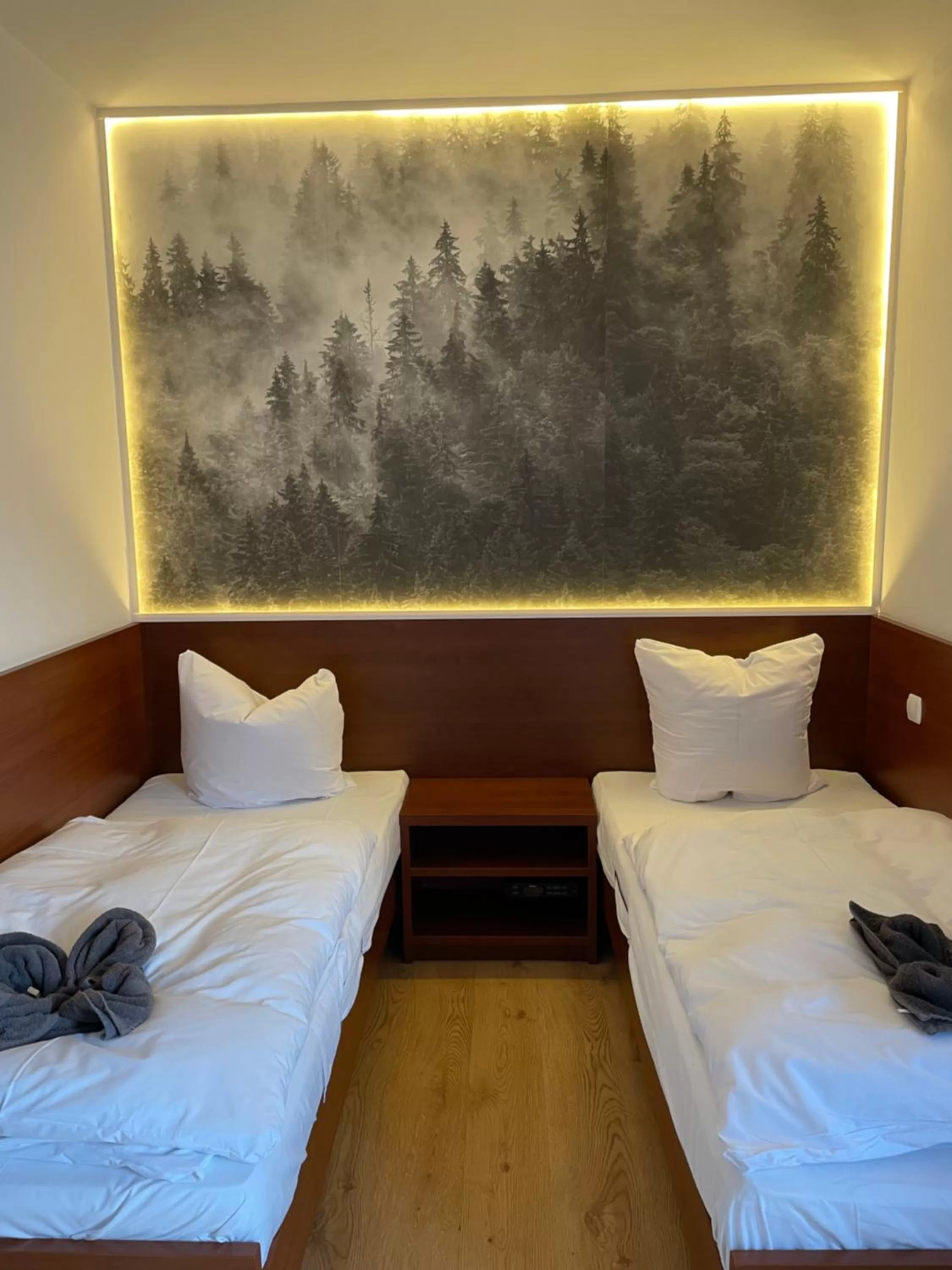 Bed in Safir przy samym WYCIĄGU