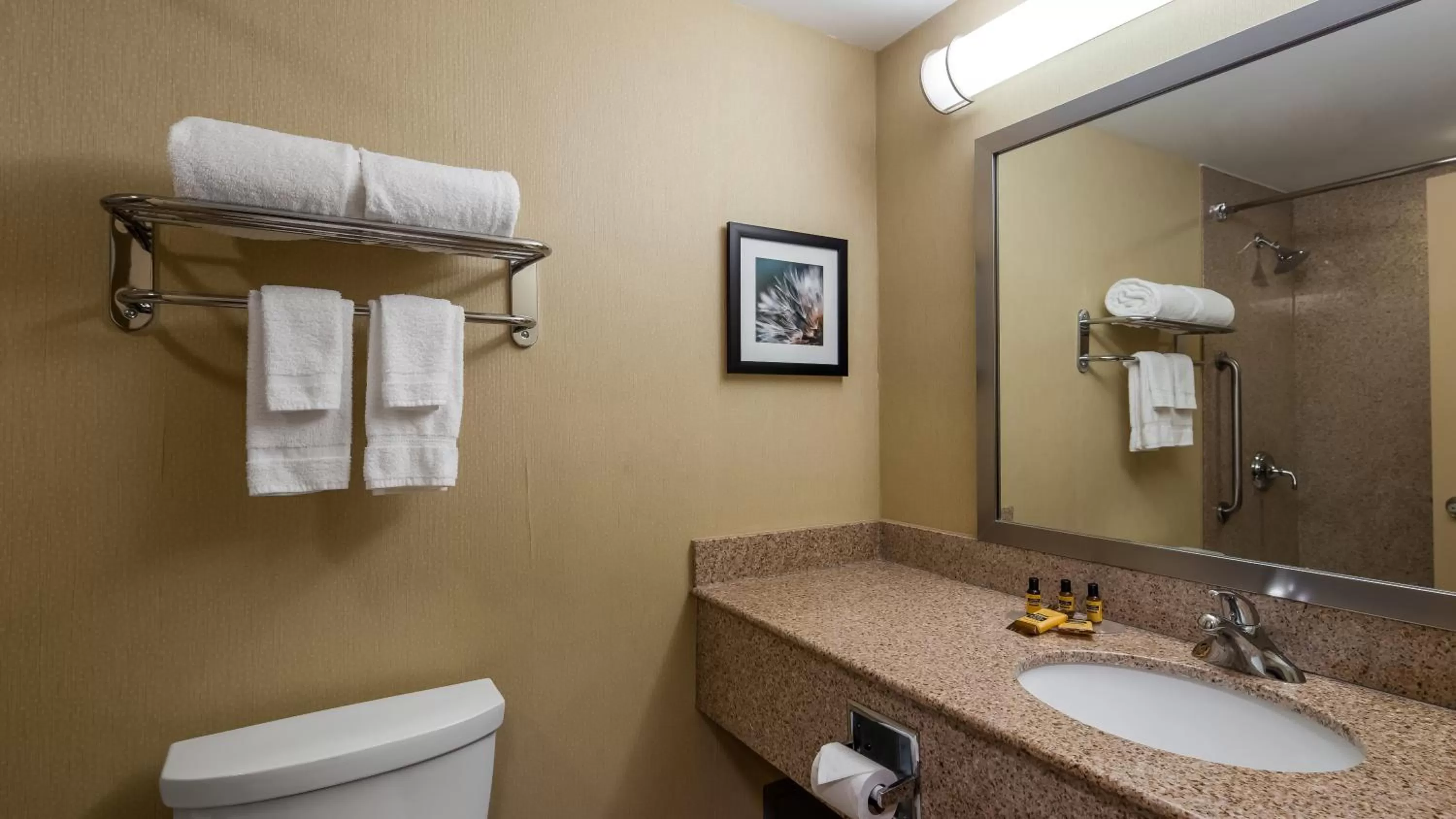 Shower in Best Western Plus Barrie