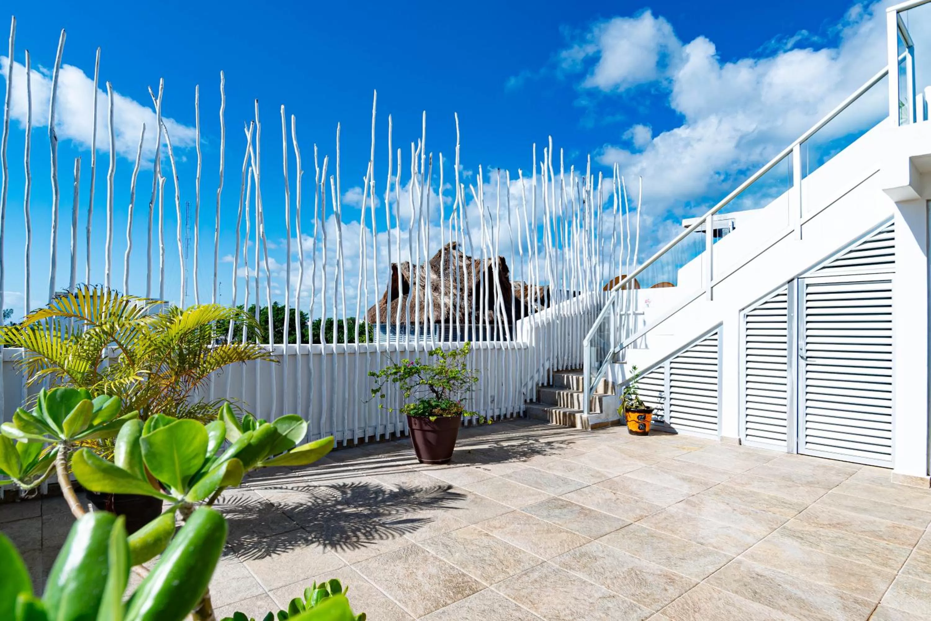 Balcony/Terrace in Hotel Boutique Rato 10