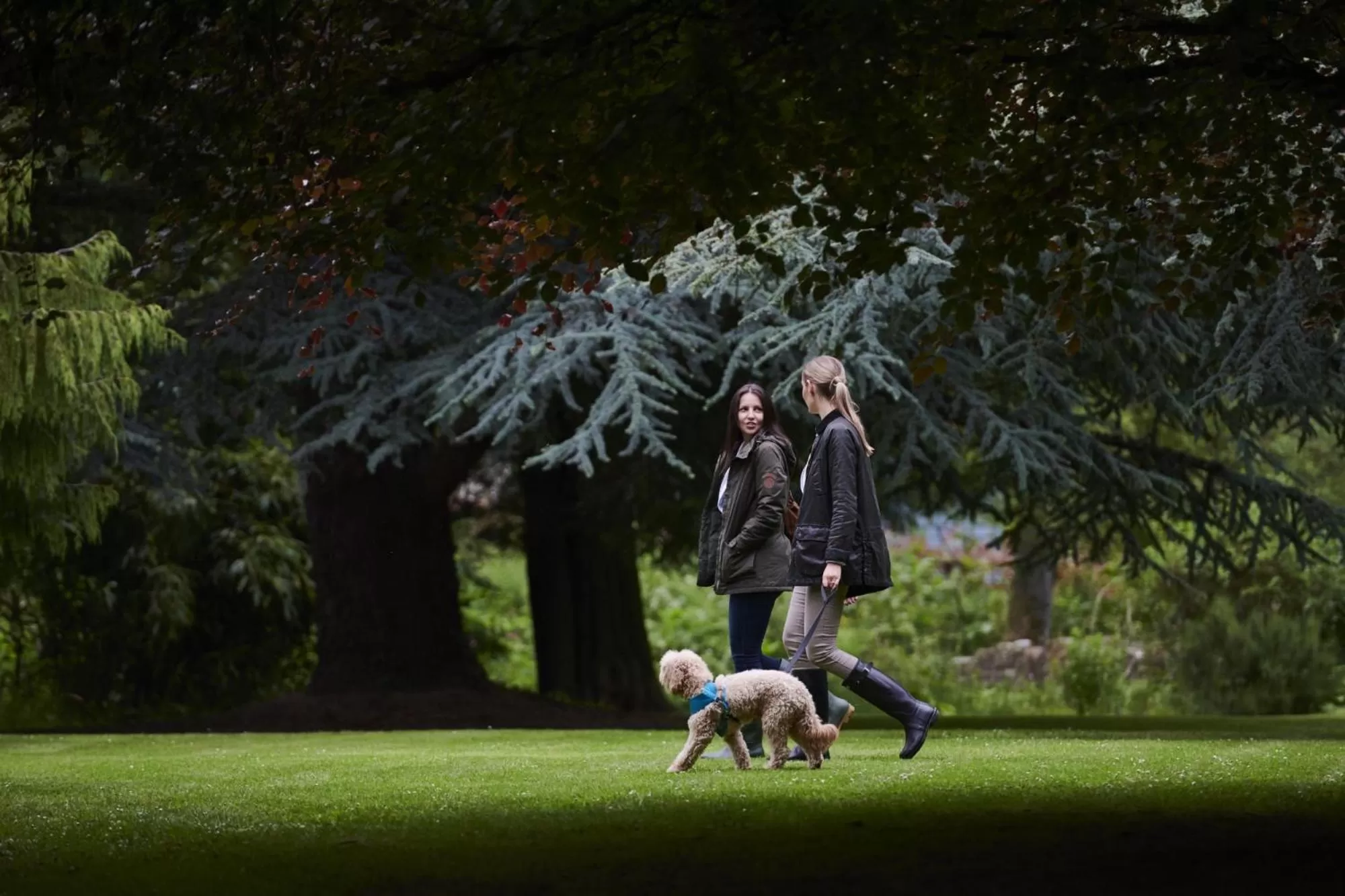 Garden in Rufflets St Andrews