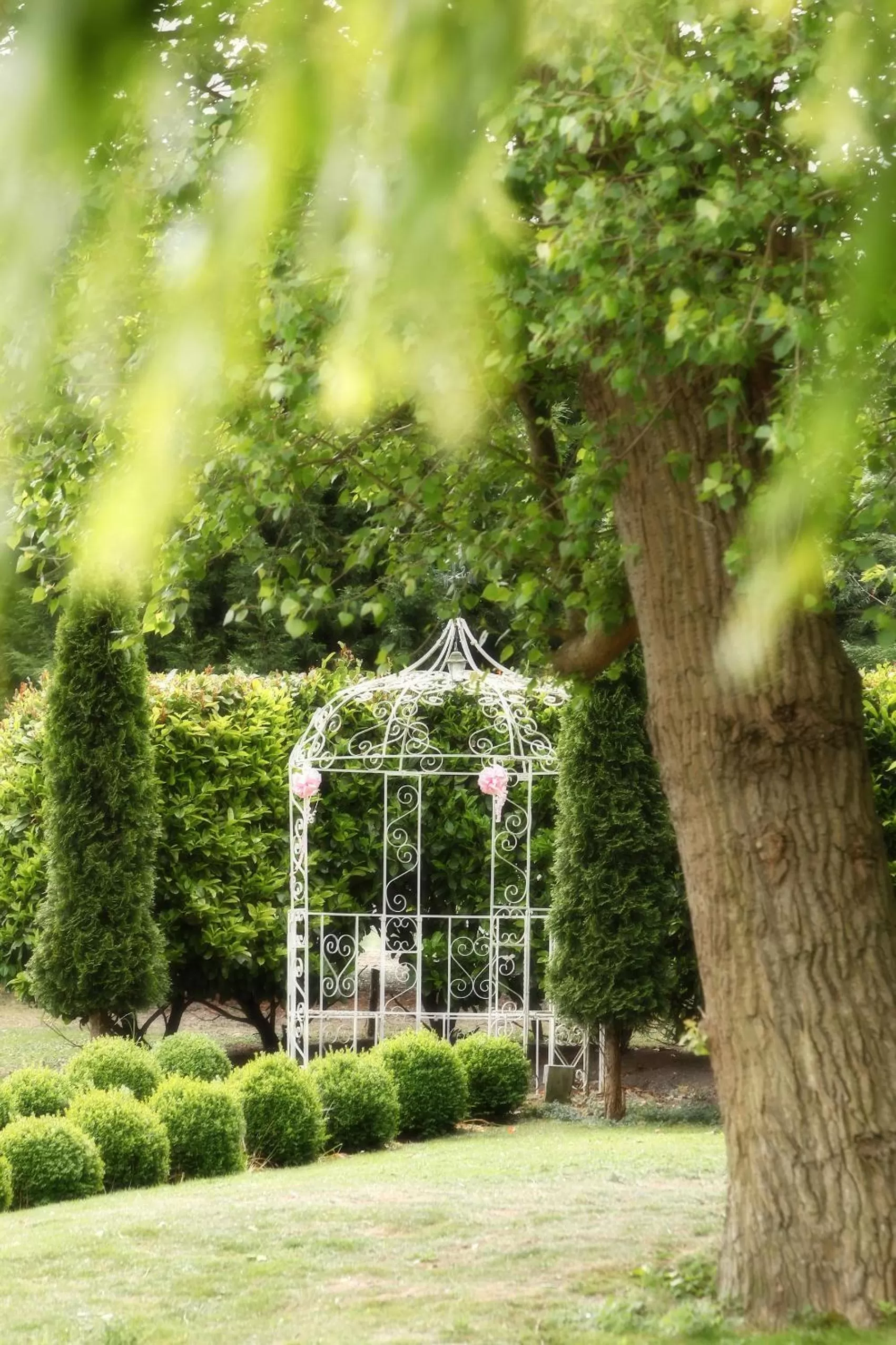 Natural landscape in Quy Mill Hotel & Spa, Cambridge