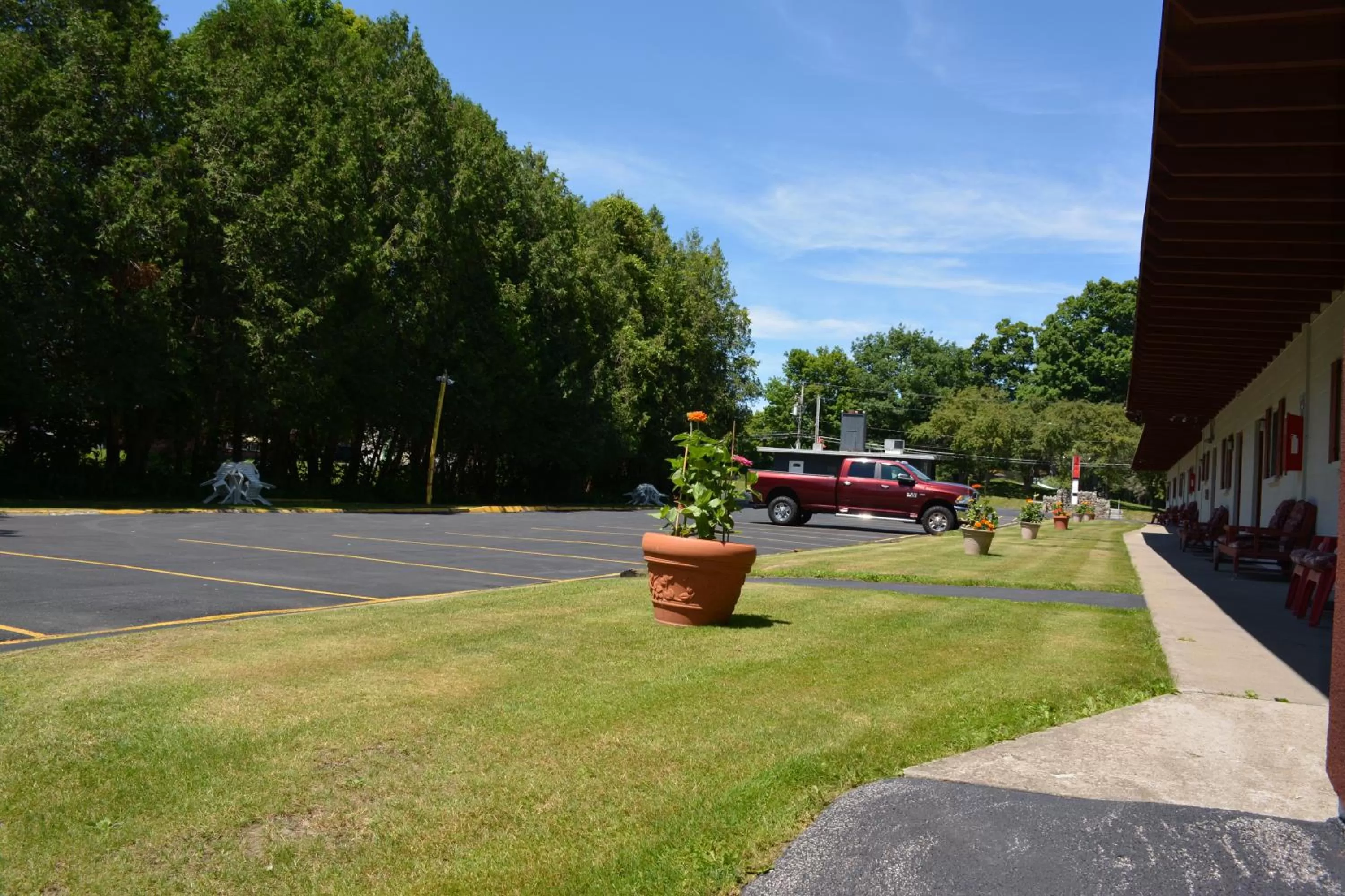 Garden view in The Village Motel