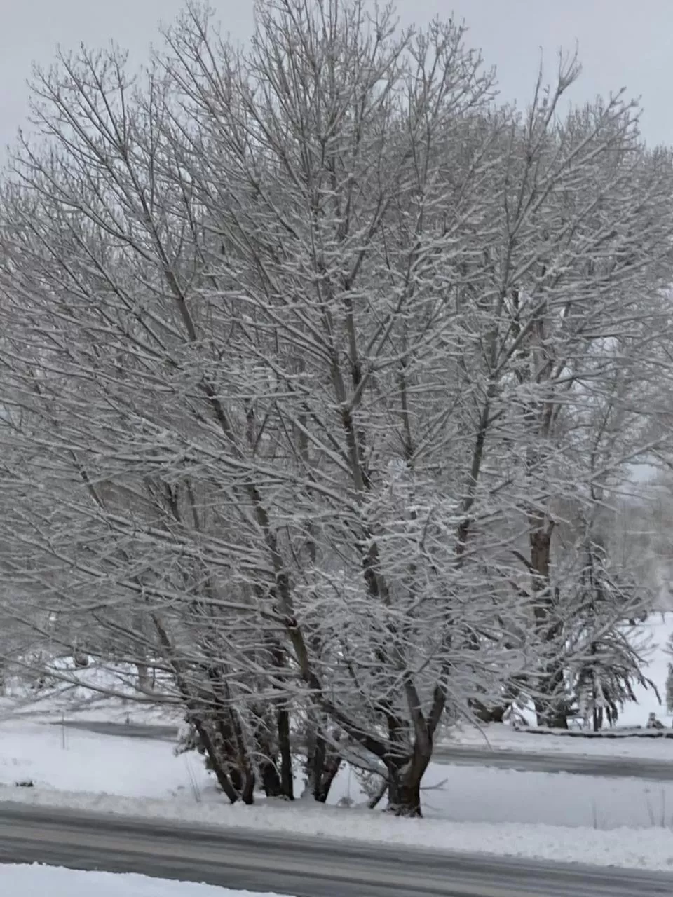 Property building, Winter in The Old Bear BnB