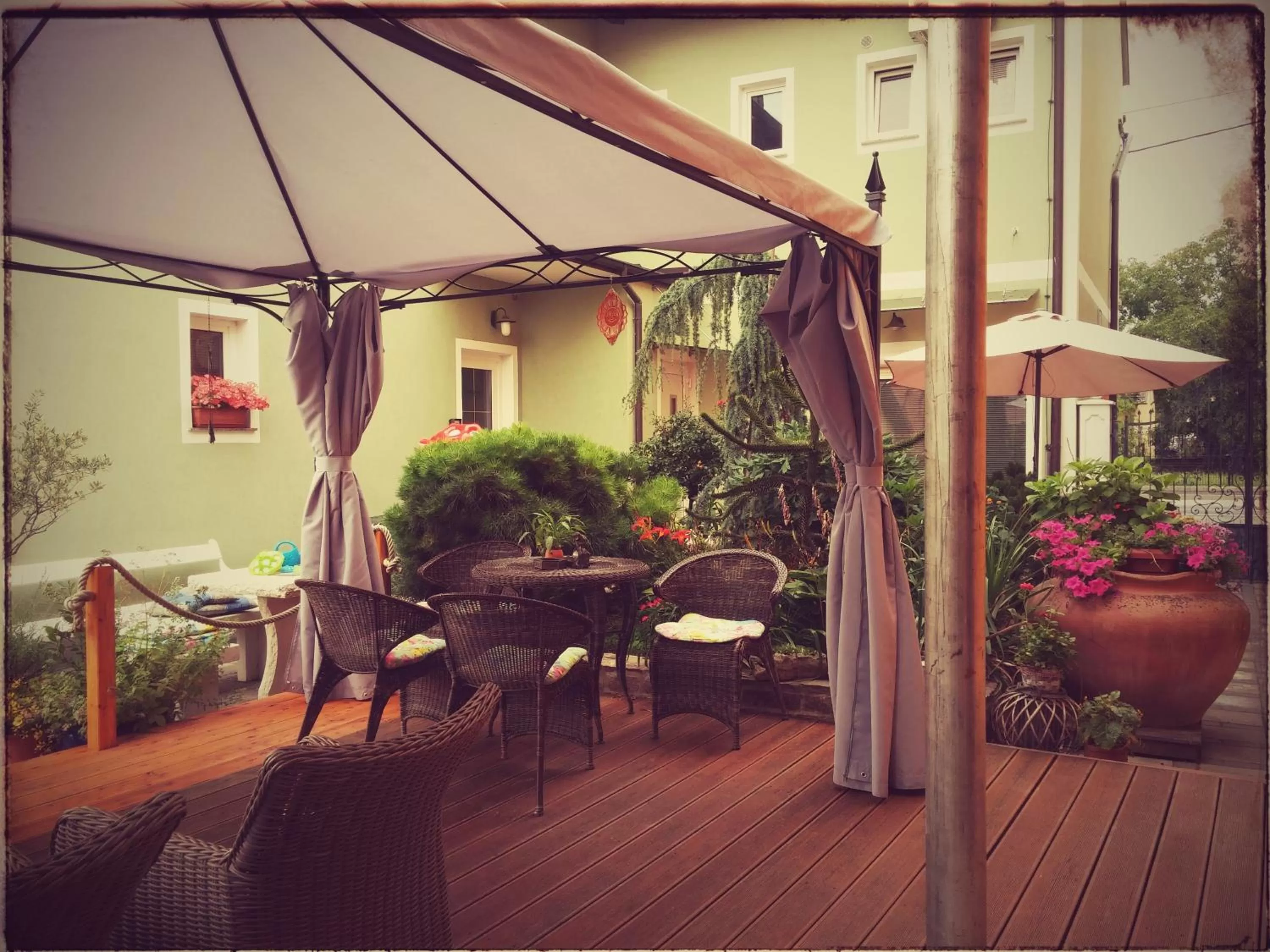 Garden in Hostel Sonce