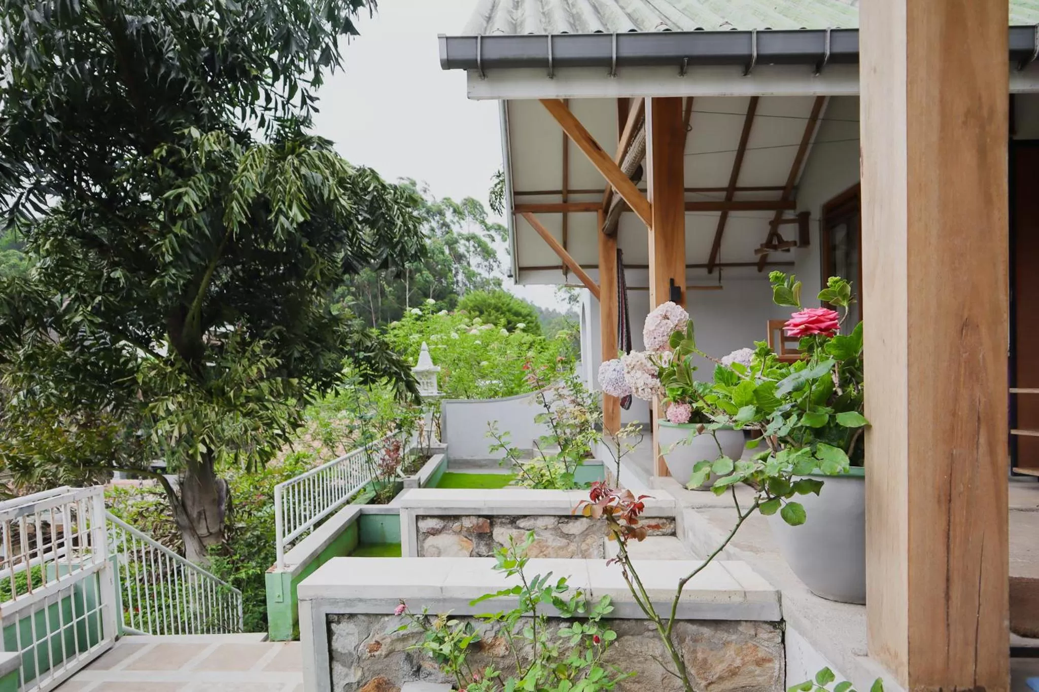 Garden in The One Ella