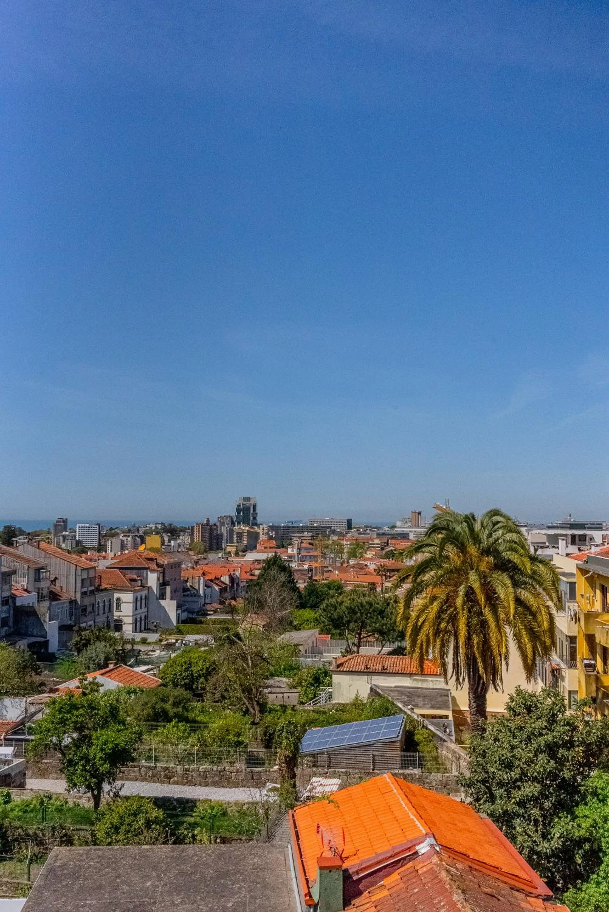 View (from property/room) in The Rex Hotel Porto