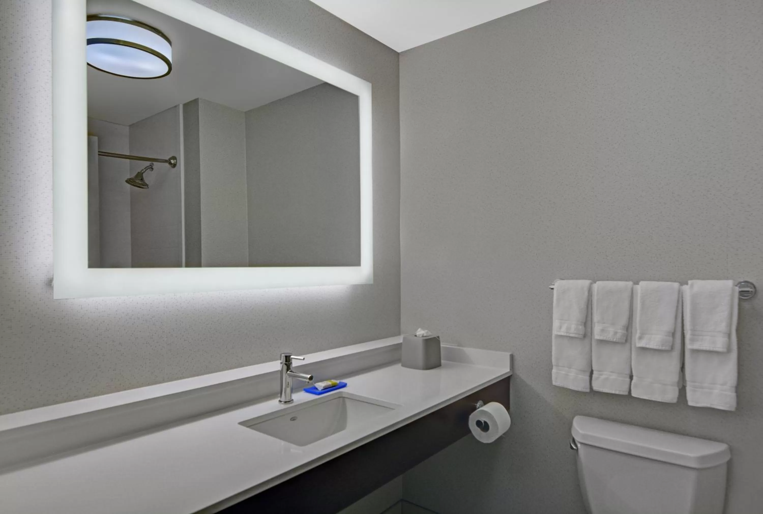 Bathroom in Holiday Inn Express Atmore by IHG