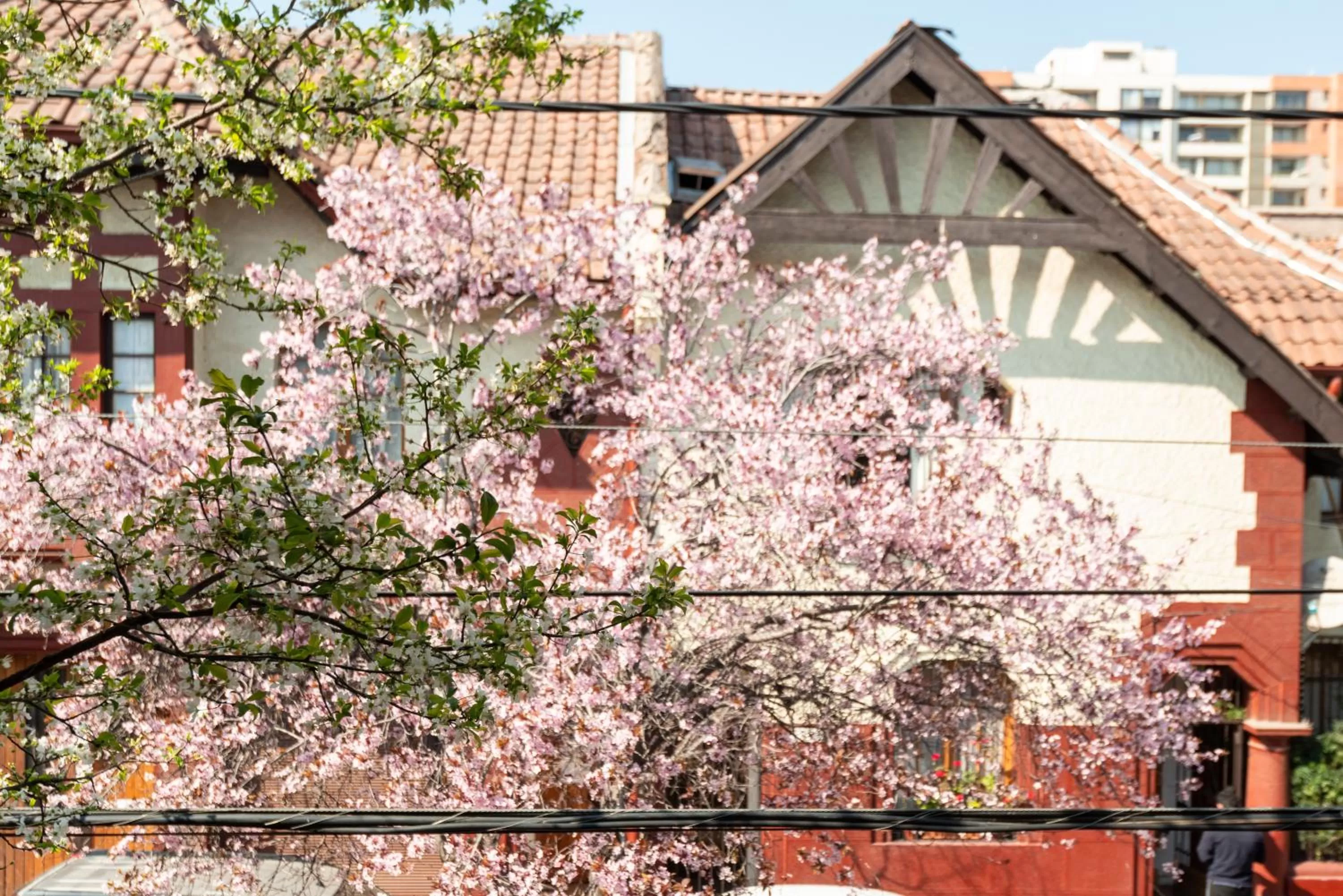 Providencia Bed & Breakfast