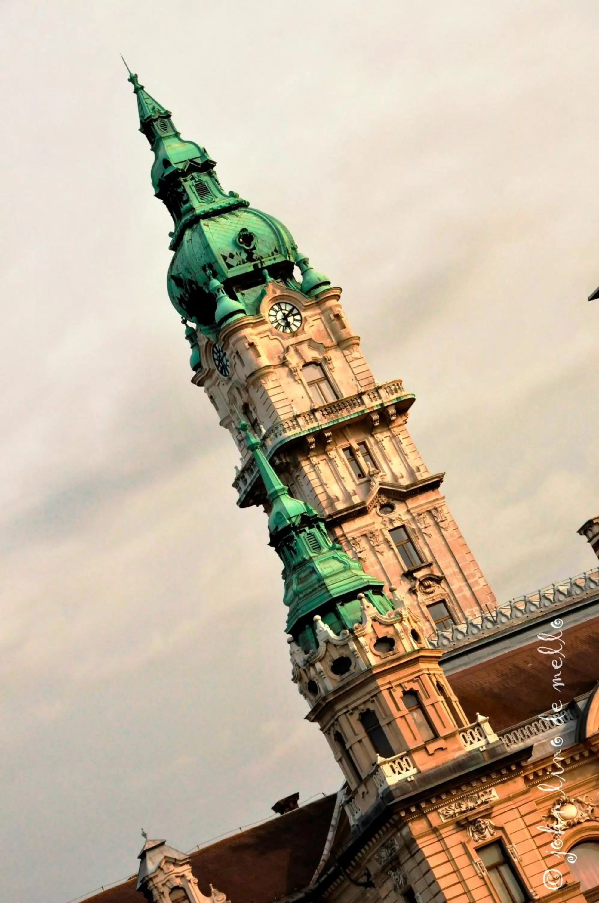 Area and facilities in Buda Panzió