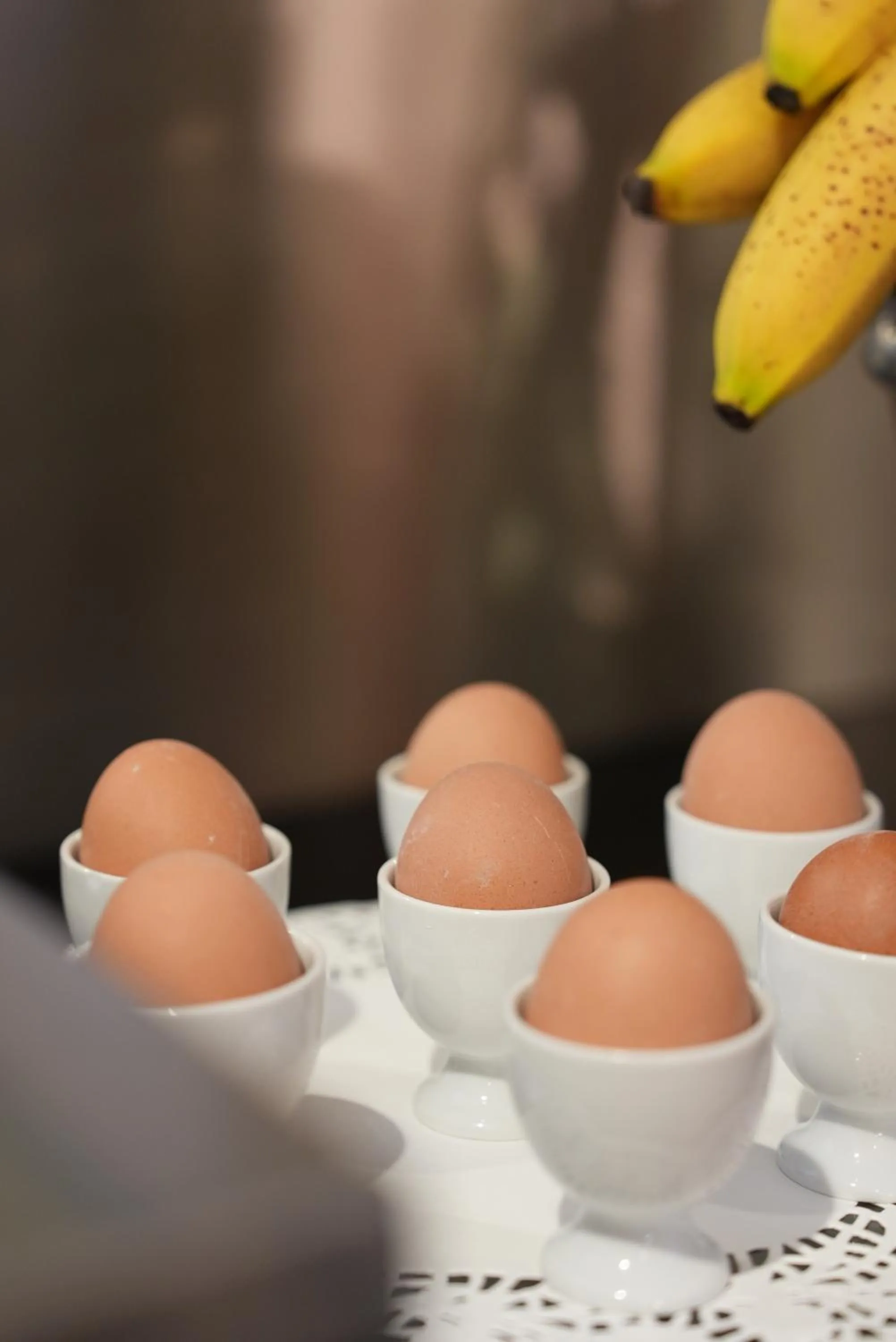 Food and drinks in Hotel Puccini