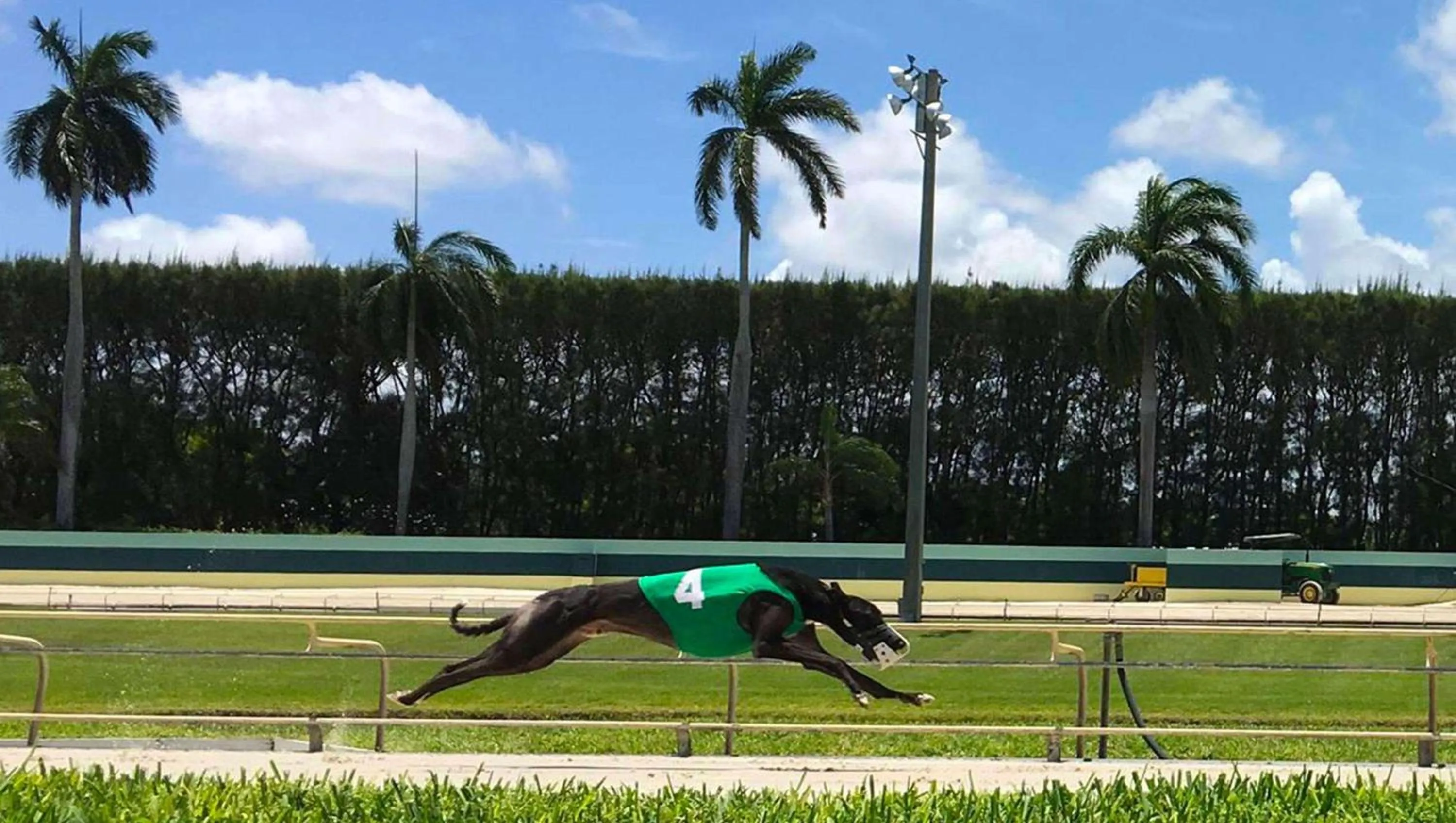 Area and facilities in Magnuson Hotel Jacksonville Downtown