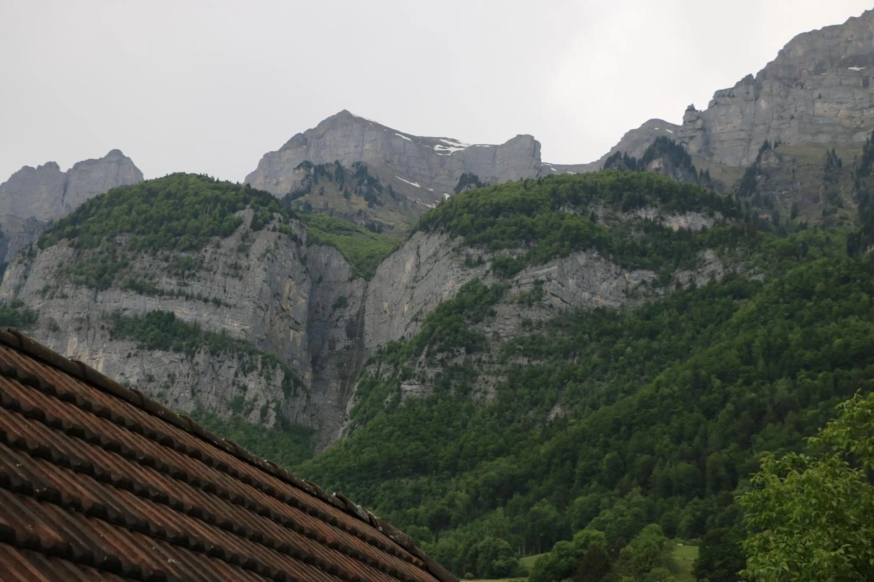 Natural Landscape in Hotel Lowen