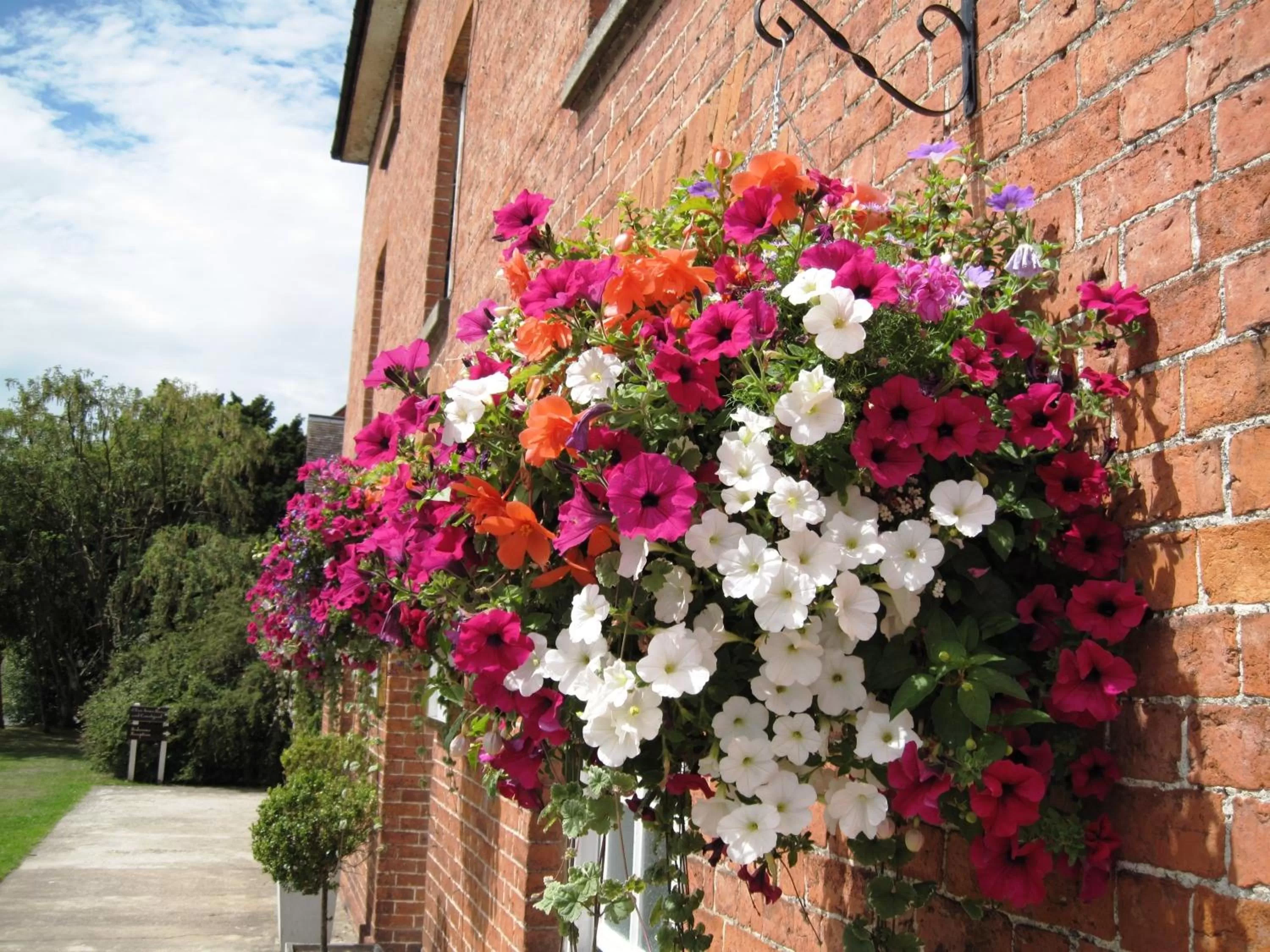 Facade/entrance, Property Building in The Clive Arms