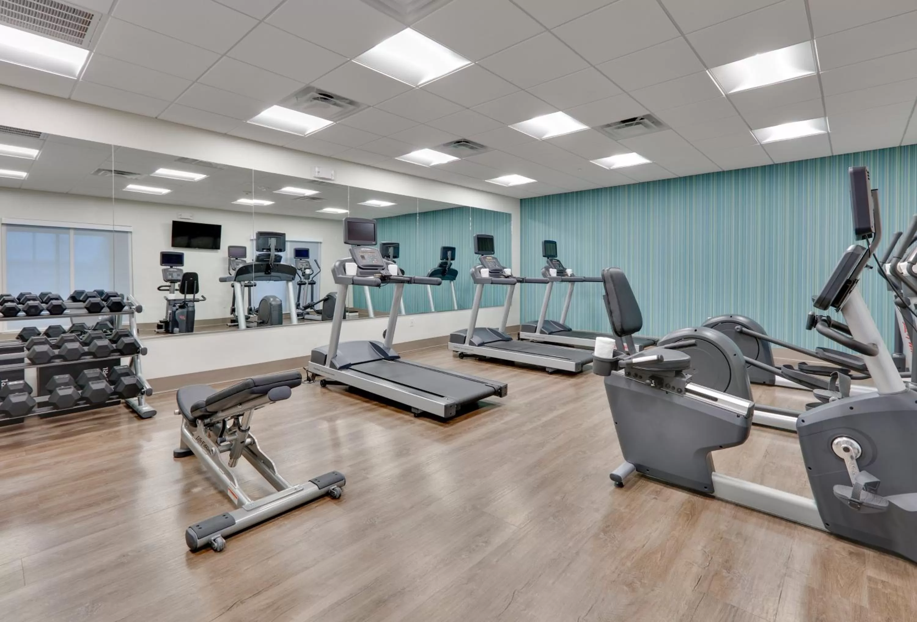 Fitness centre/facilities in Holiday Inn Express & Suites Plano East - Richardson by IHG
