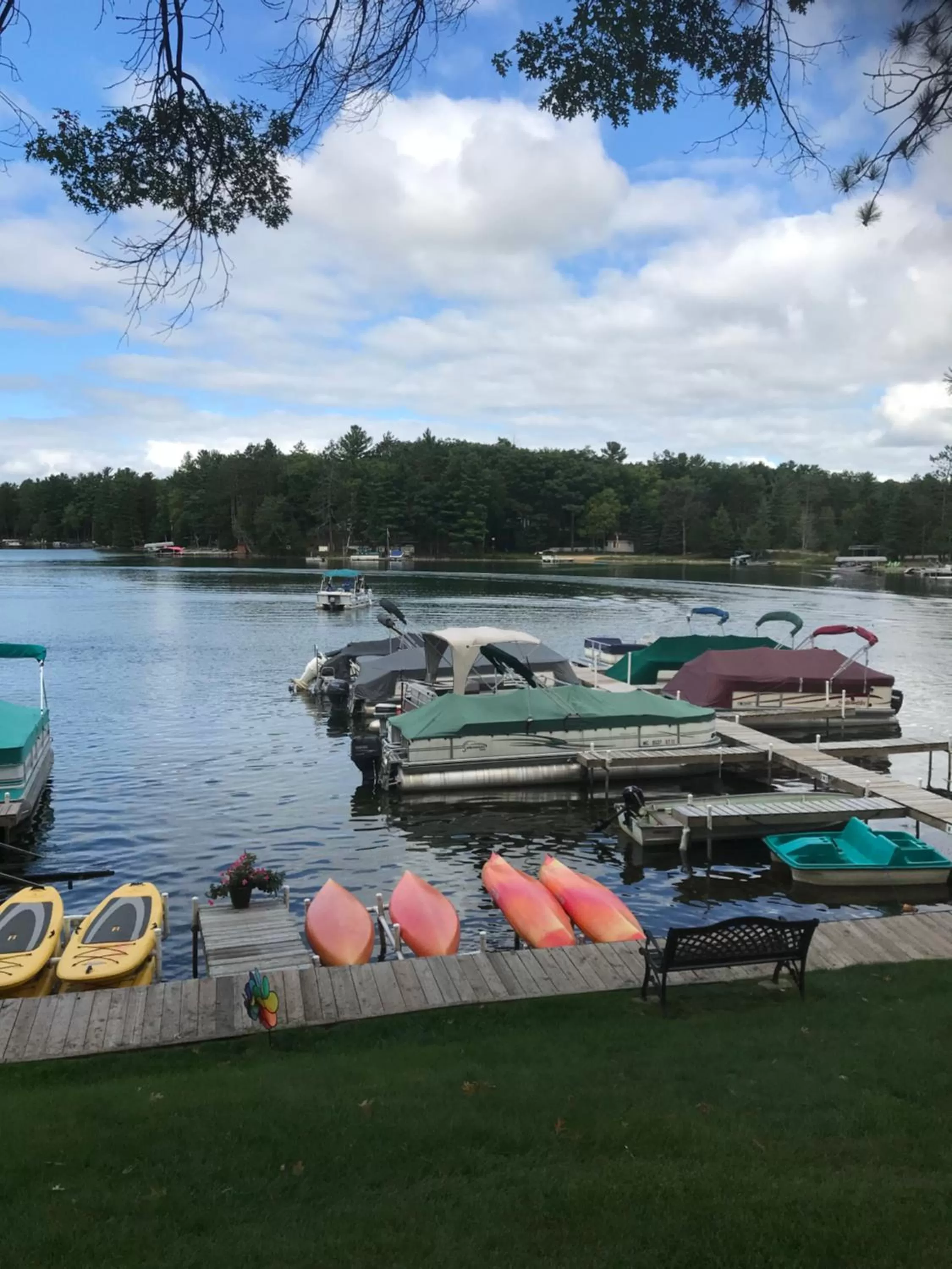 Natural landscape in Clear Lake Resort