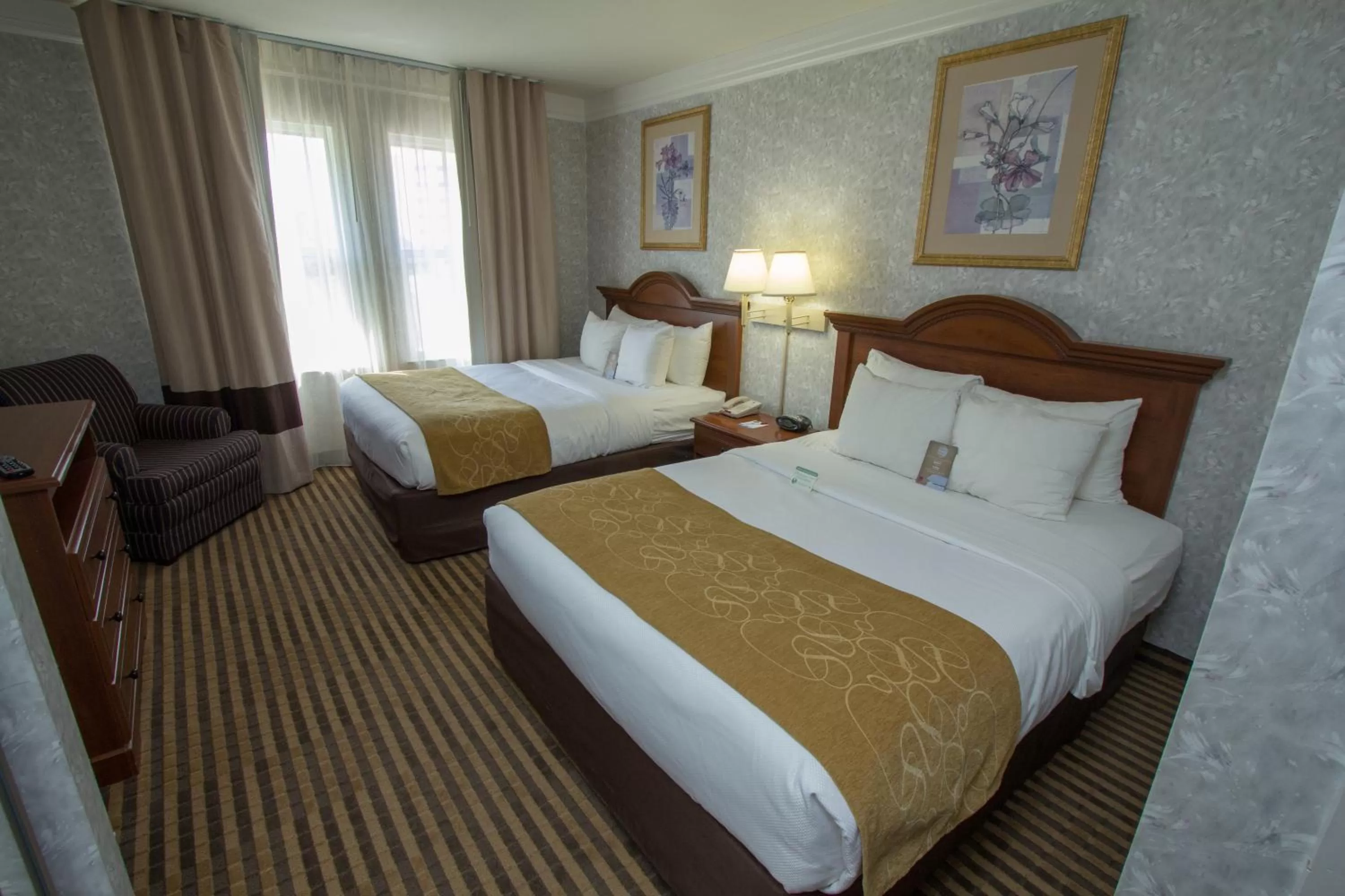 Queen Suite with Two Queen Beds - Non-Smoking in Comfort Suites Visalia - Convention Center