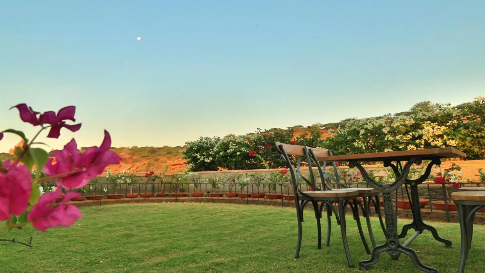 Garden in The Almond Tree