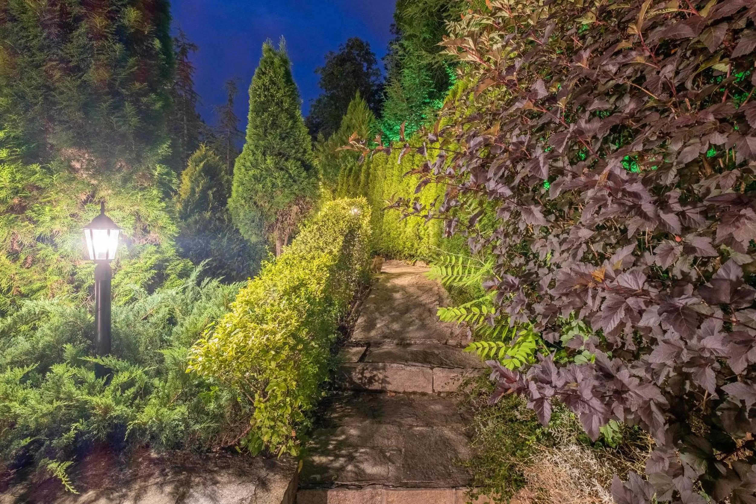 Garden in Park Hotel Asenevtsi